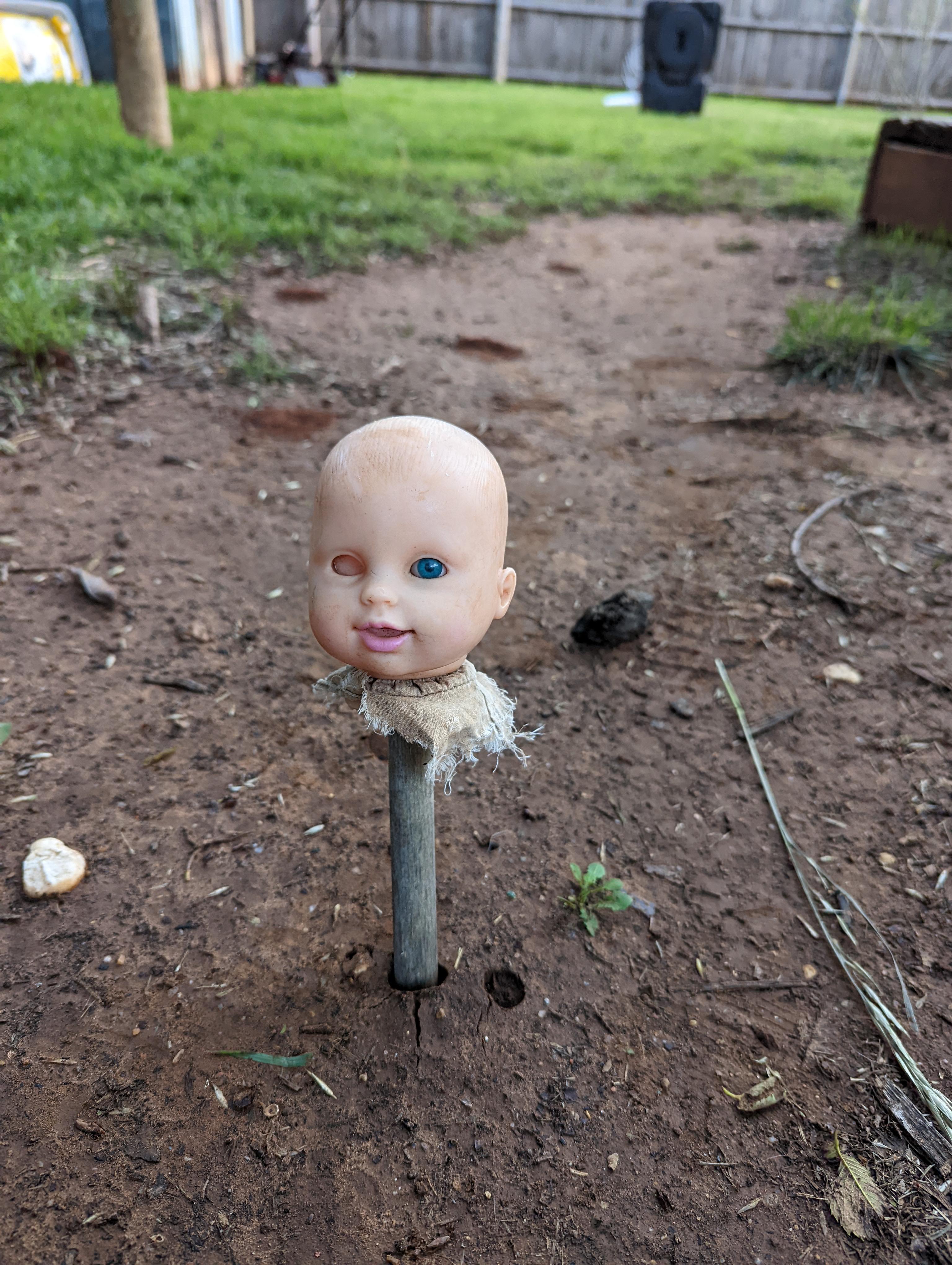 moved into the new house...the previous owners left us a house warming