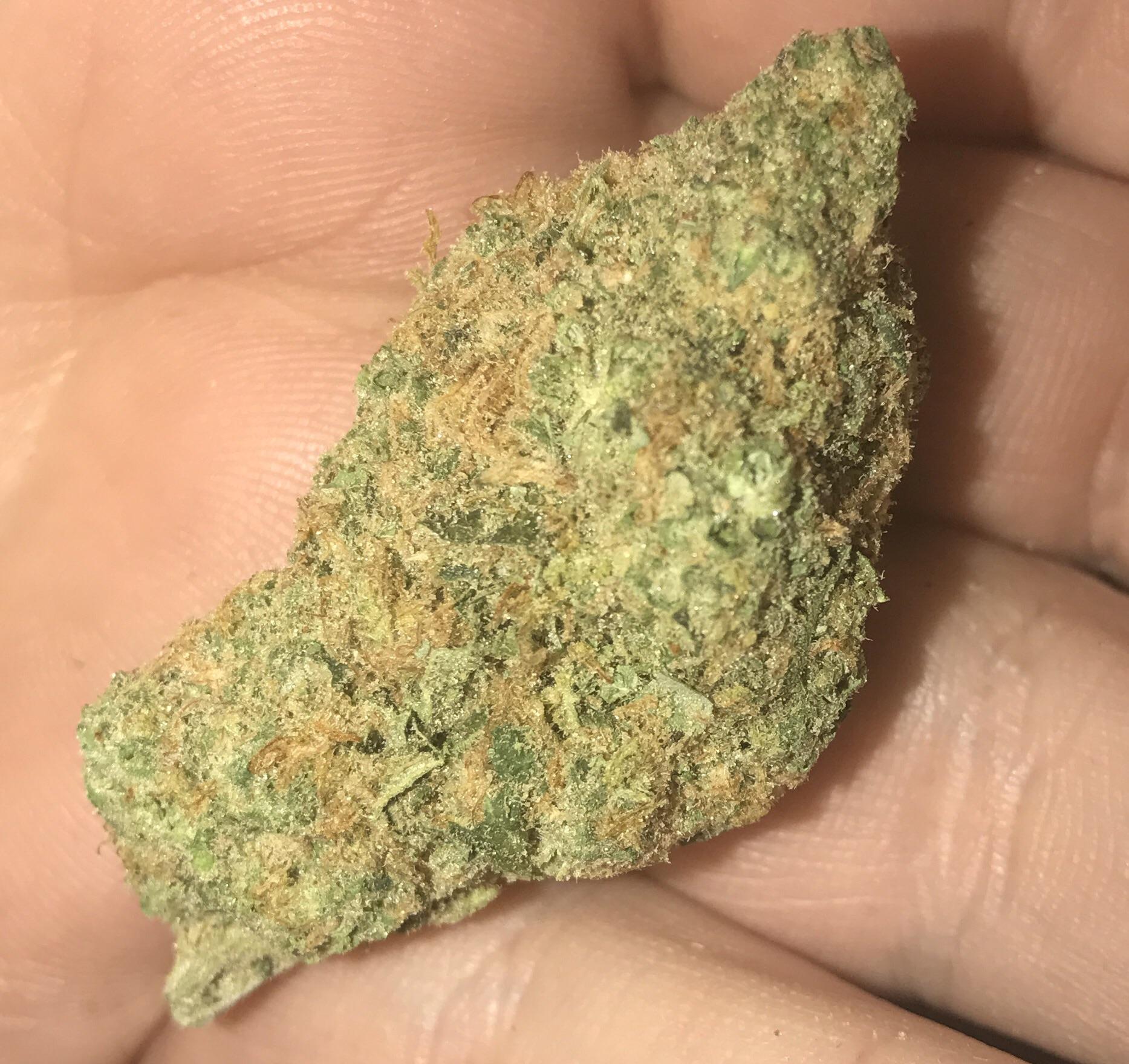 Golden Goat from Green Leaf Supply Co. They're easily one of my