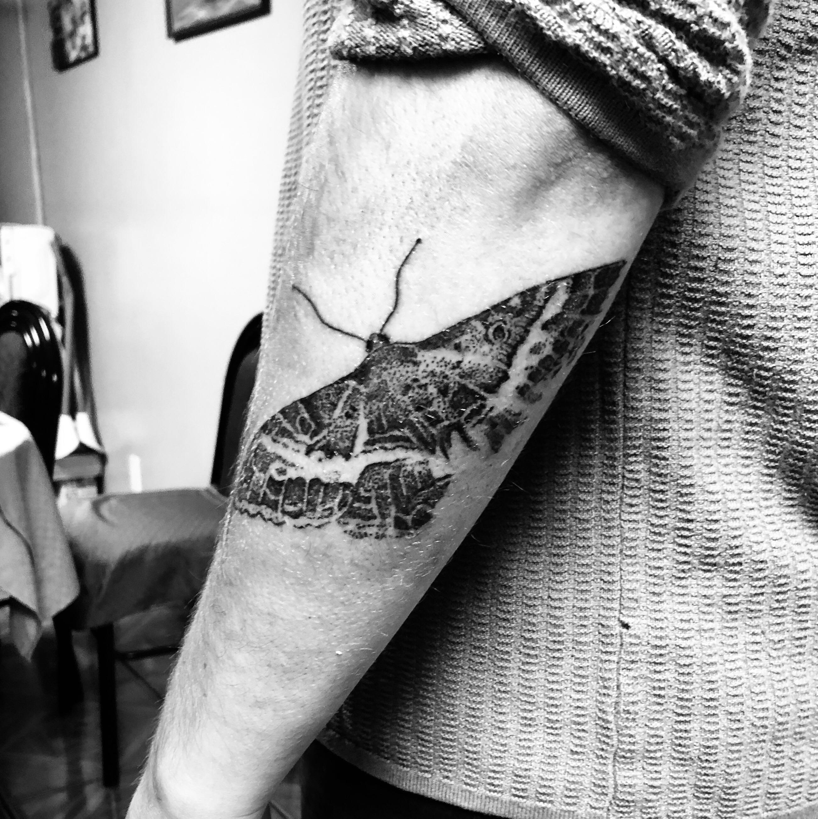 Aggregate 61+ to pimp a butterfly tattoo latest in.cdgdbentre