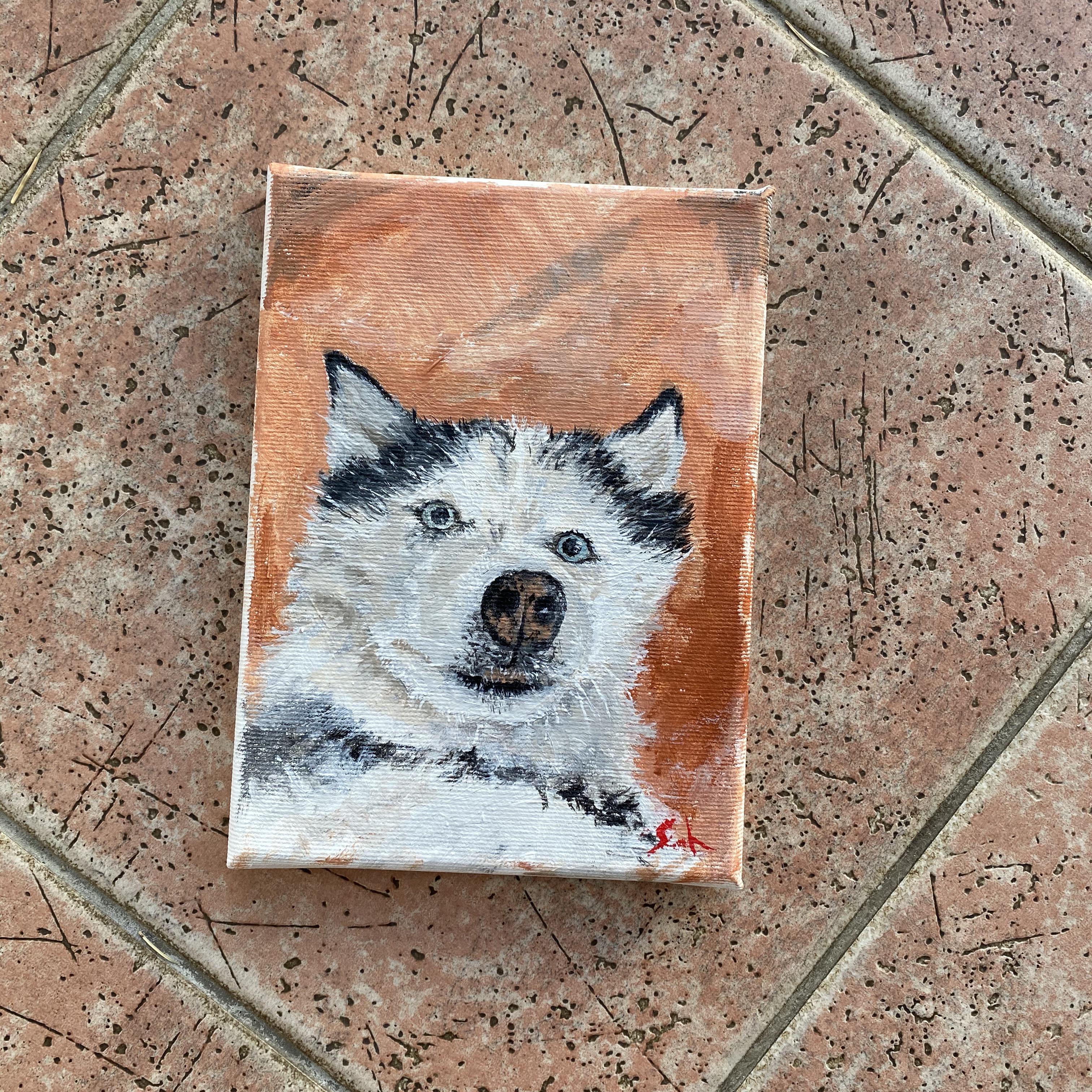 Decided to paint my dog r/pics