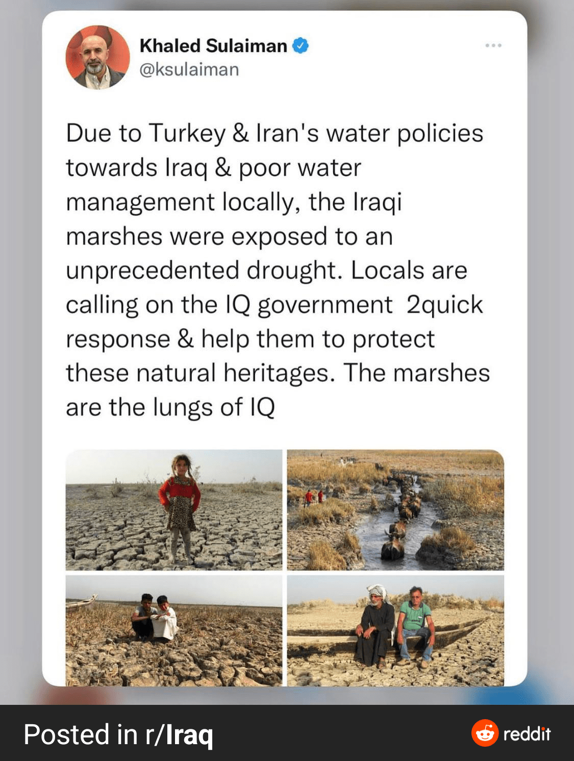 What does the average Turkish think about this ? r/Turkey