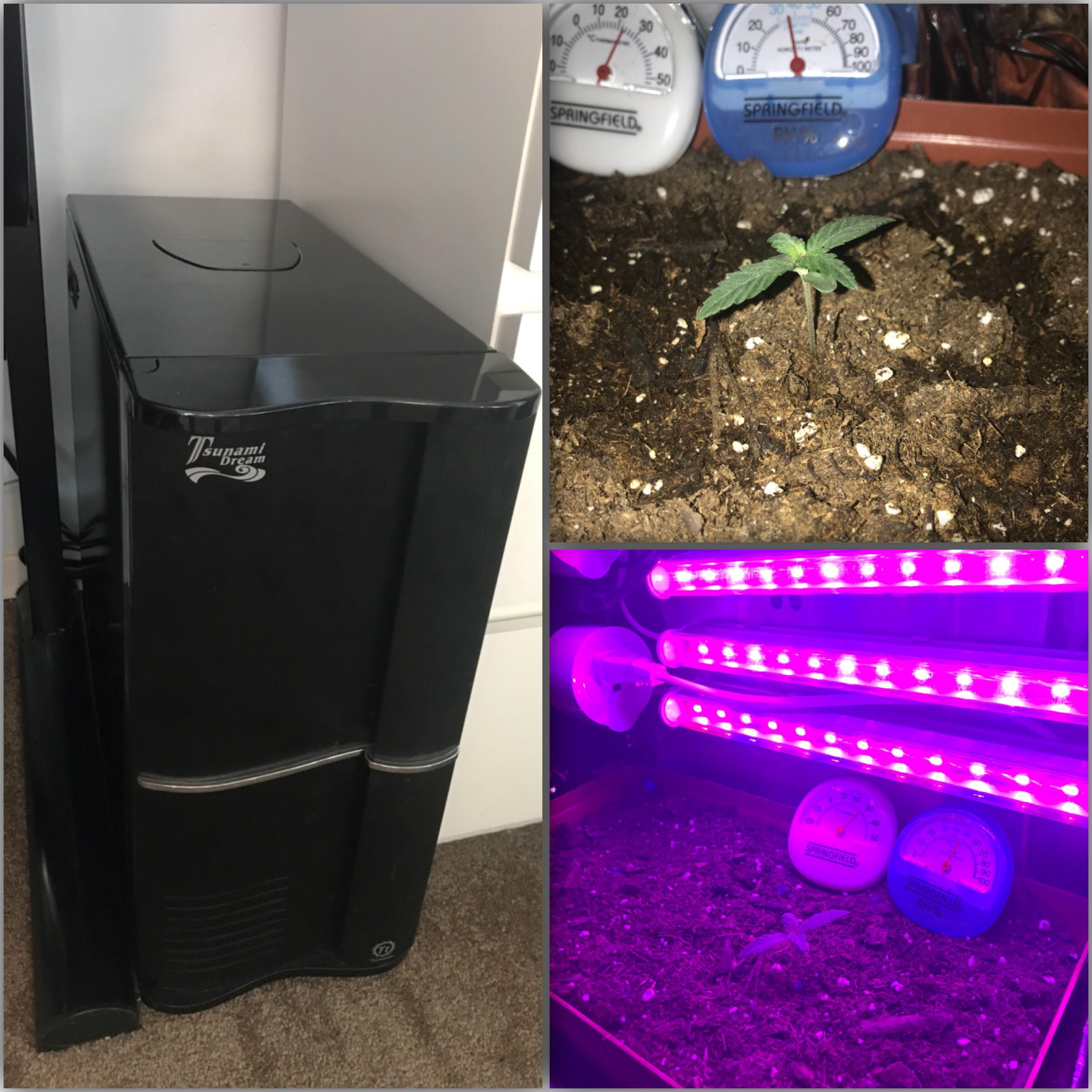 PC Grow Box Update Help with Temperature! r/microgrowery