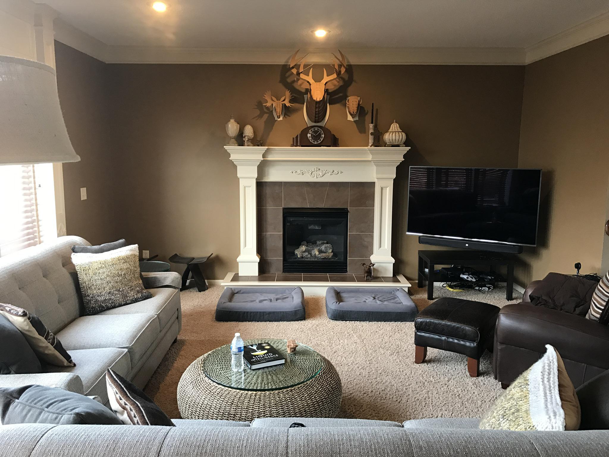 Just got some faux taxidermy for my living room. malelivingspace