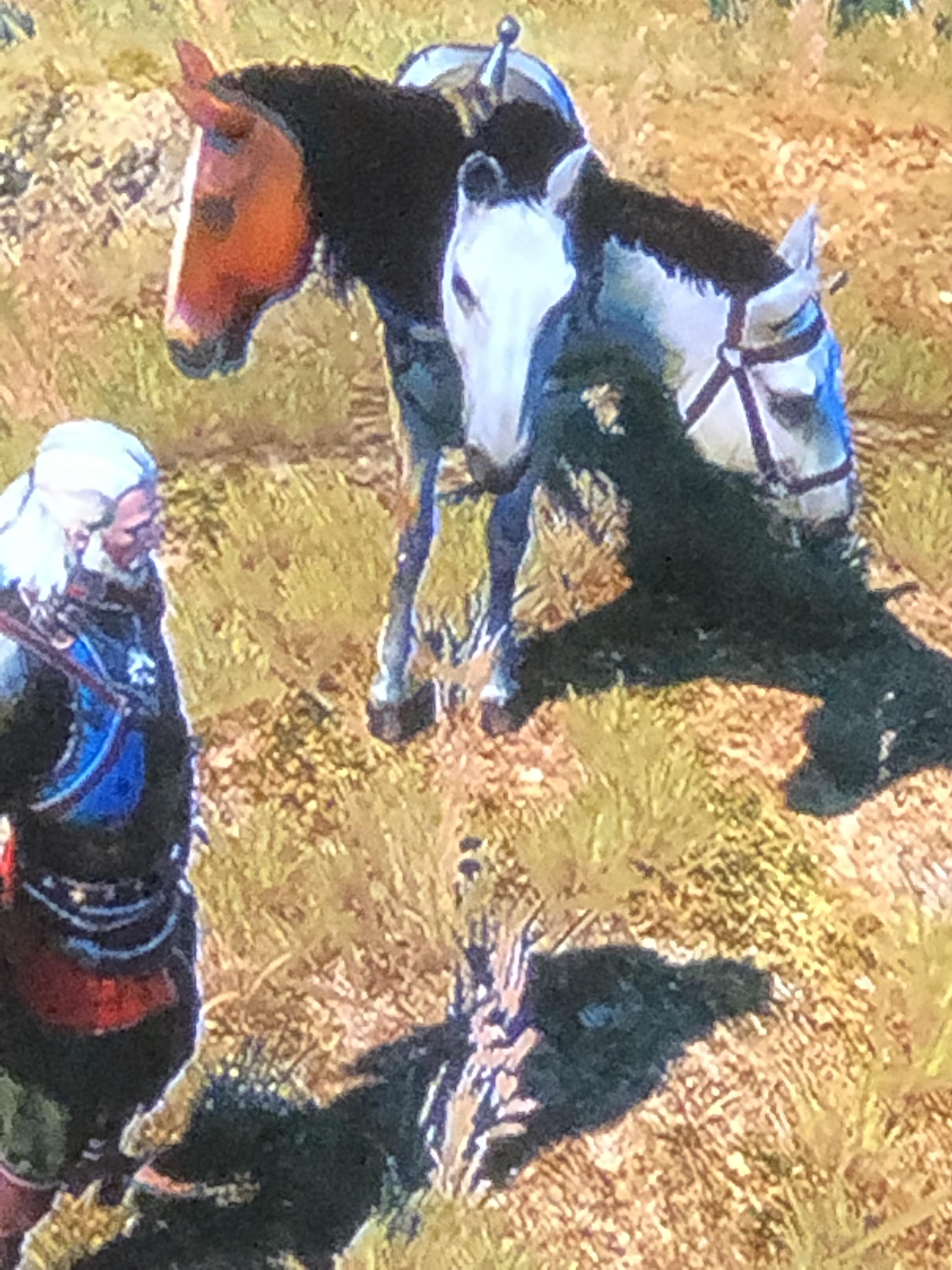 [Witcher 3] 3 horses spawned in the same spot while I was playing. Didn