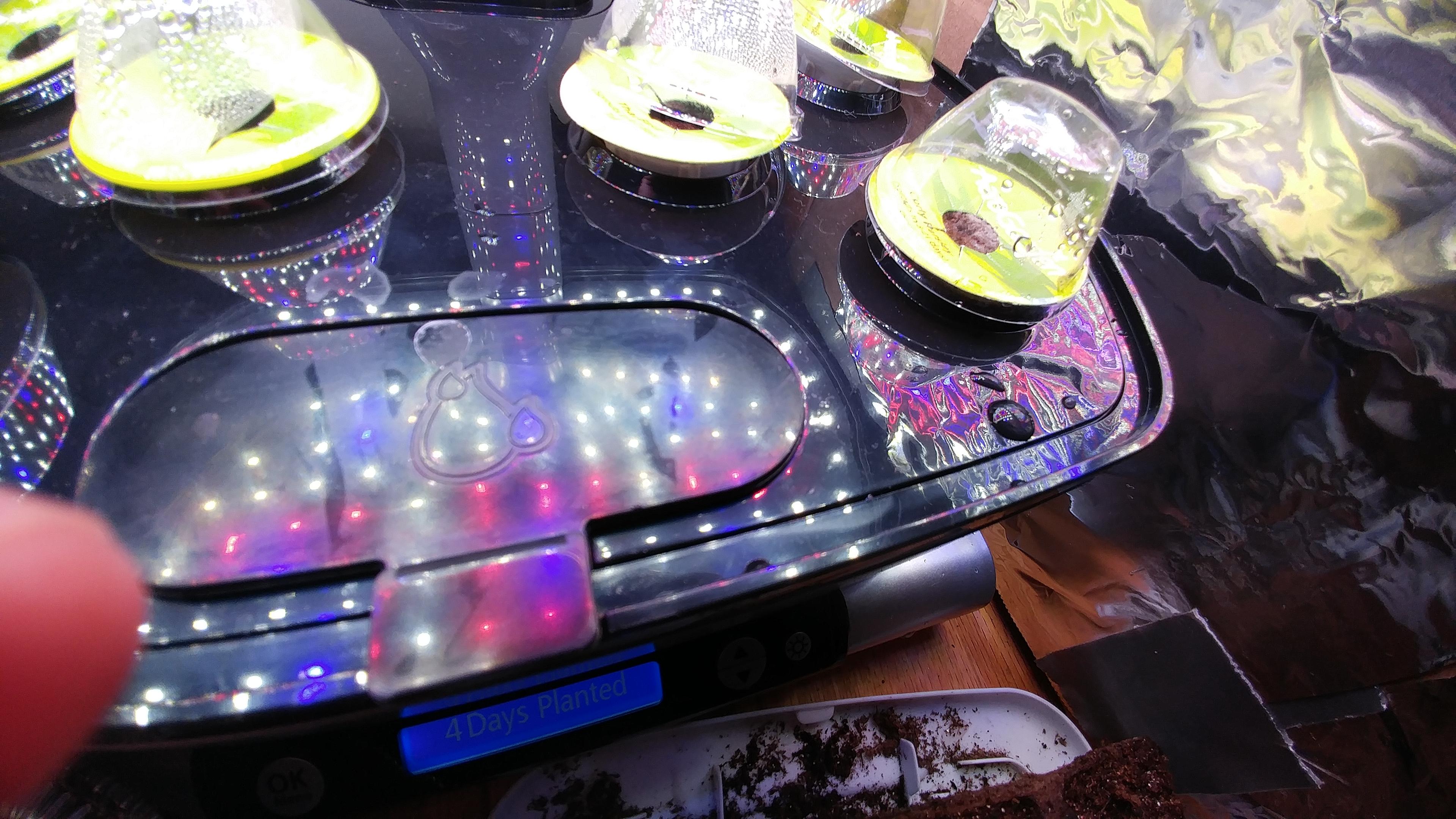 4 days planted and already moldy?? r/aerogarden