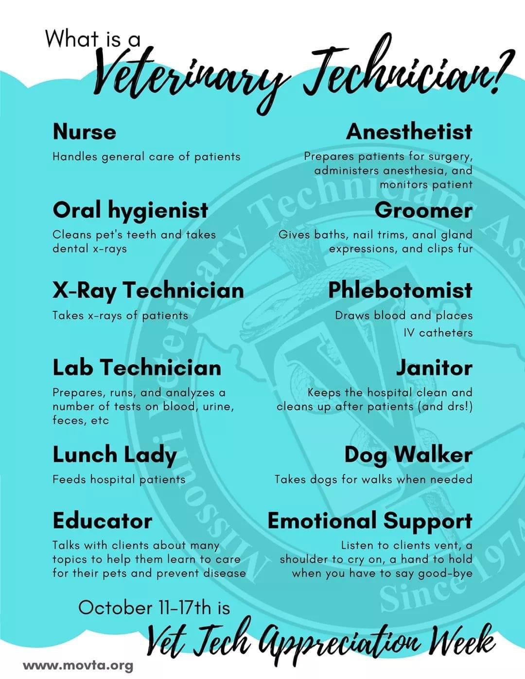 Happy Vet Tech week everyone! r/VetTech