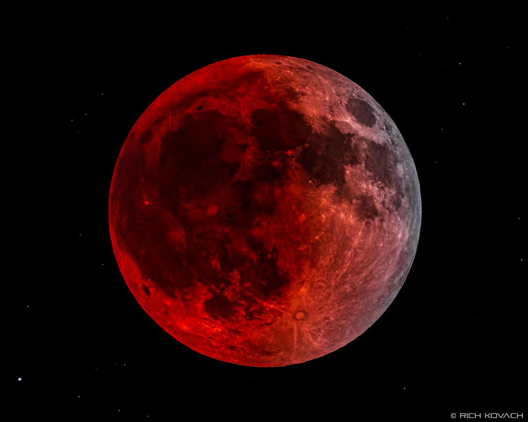 Super Flower Blood Moon Eclipse r/astrophotography