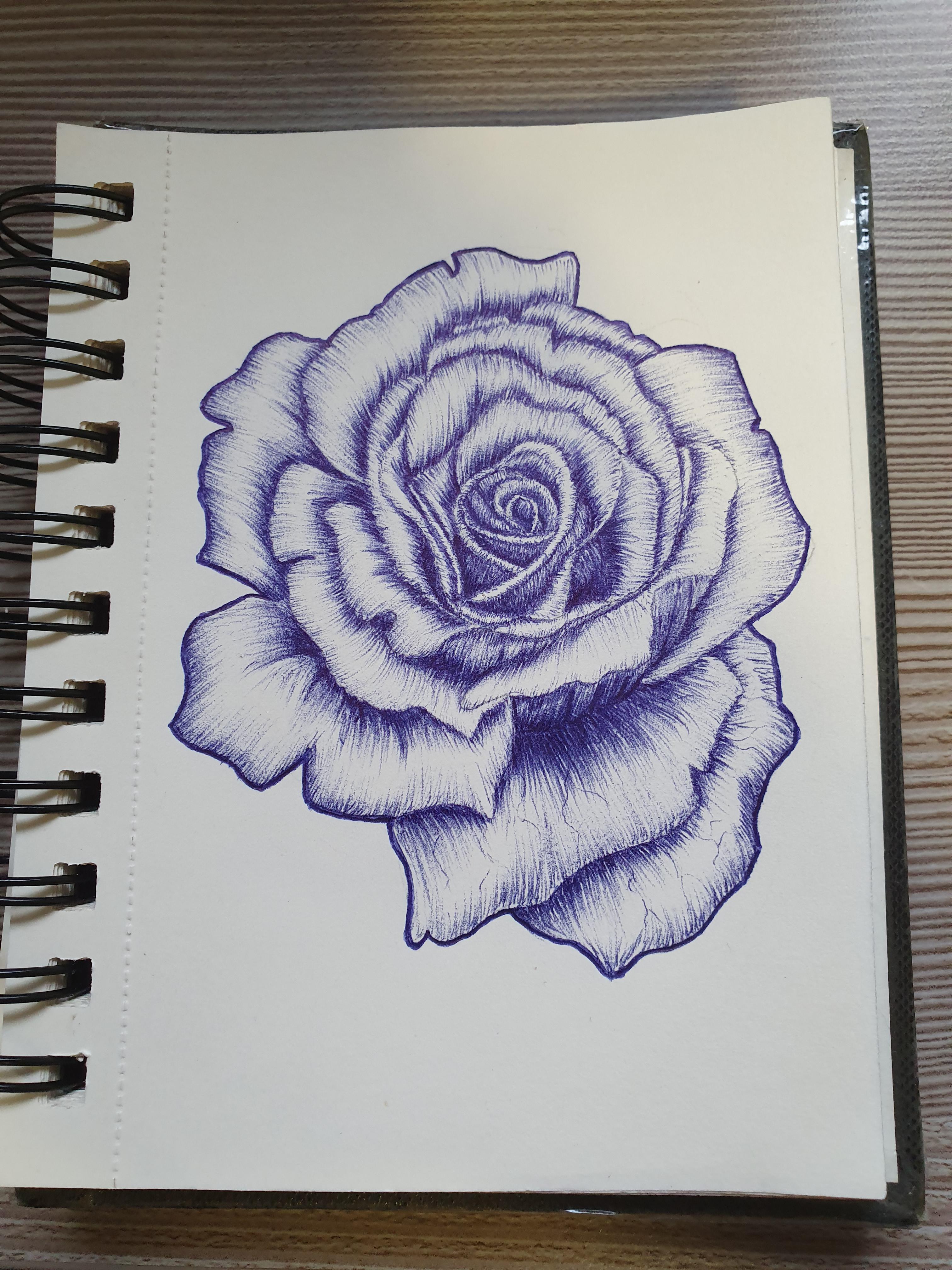 Blue Rose r/drawing