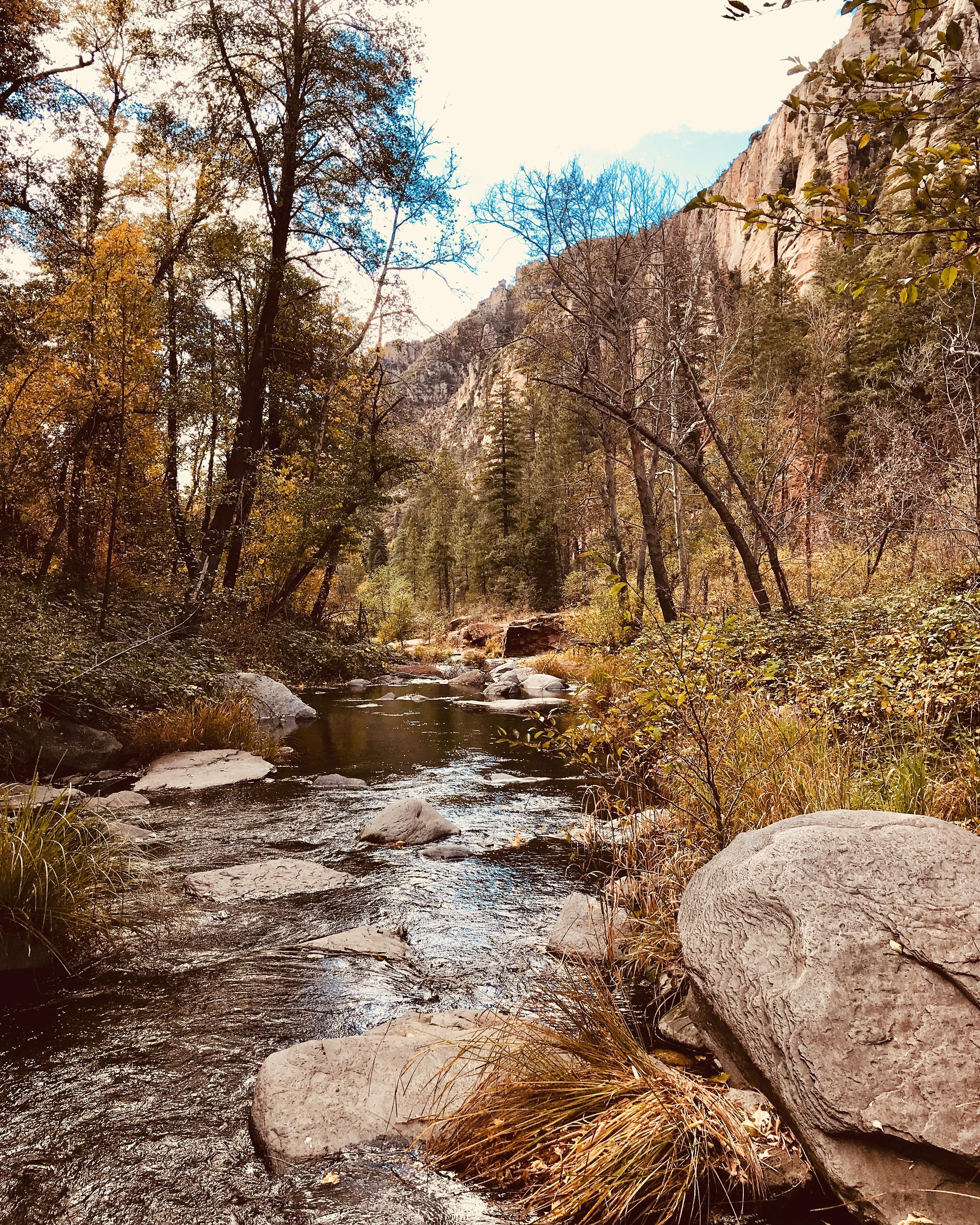 West Fork Trail from a few years ago. Oak Creek, Az. USA r/hiking