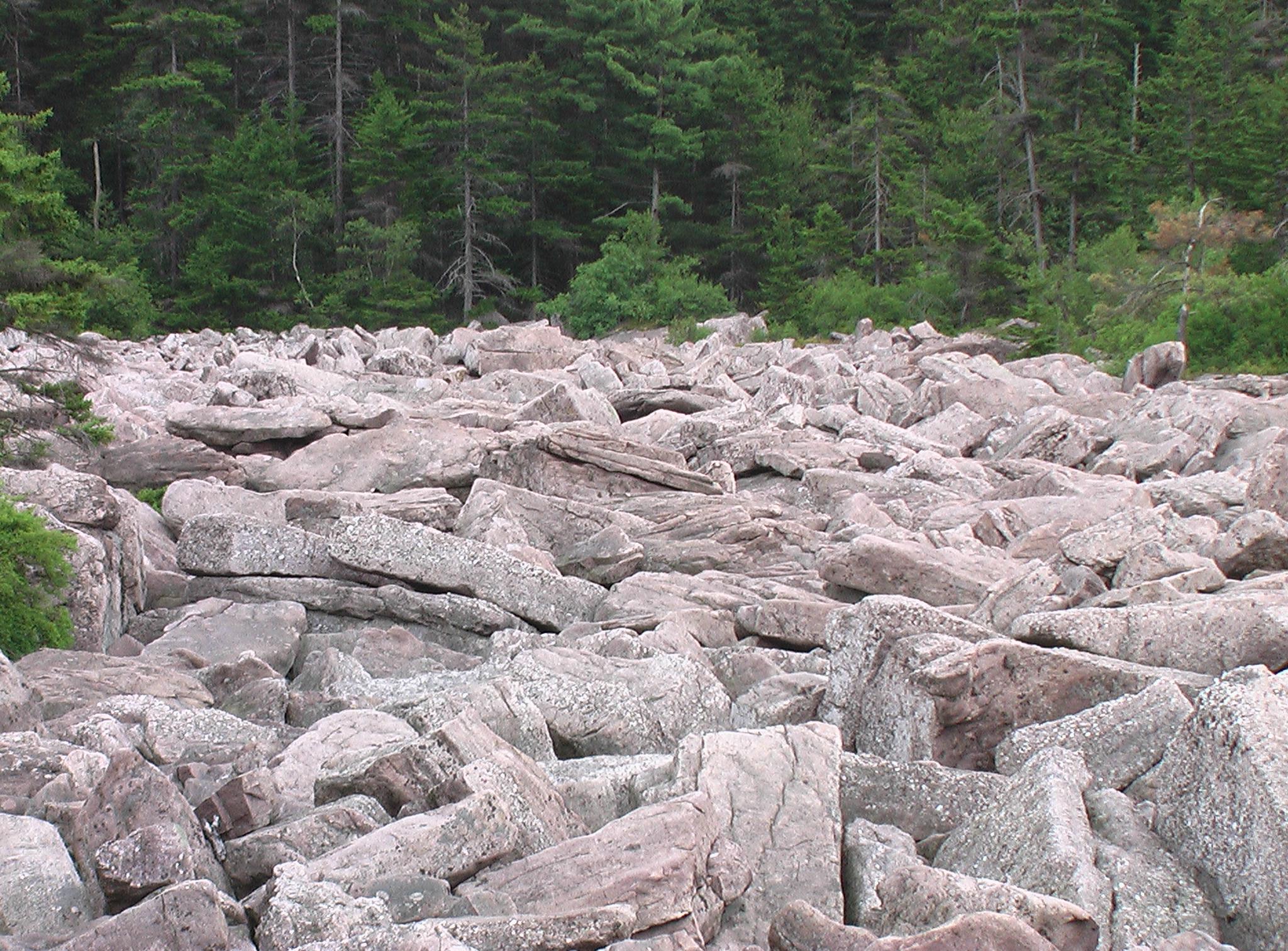 Boulder Field Hickory Run State Park r/Pennsylvania