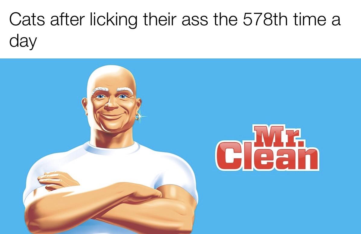 11 Mr Clean Funny Meme Movie Sarlen14