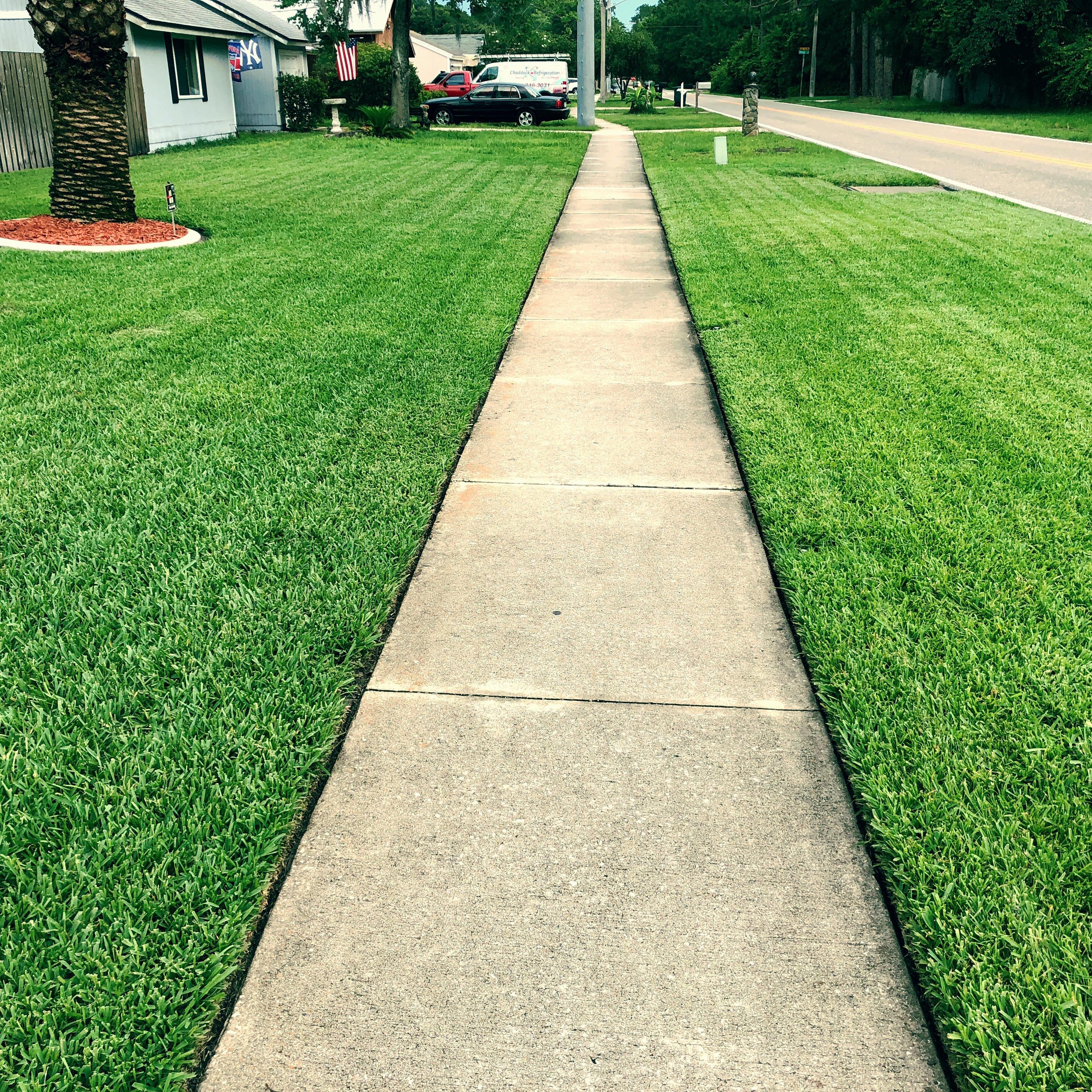 The lines in this fresh mowed grass : r/oddlysatisfying