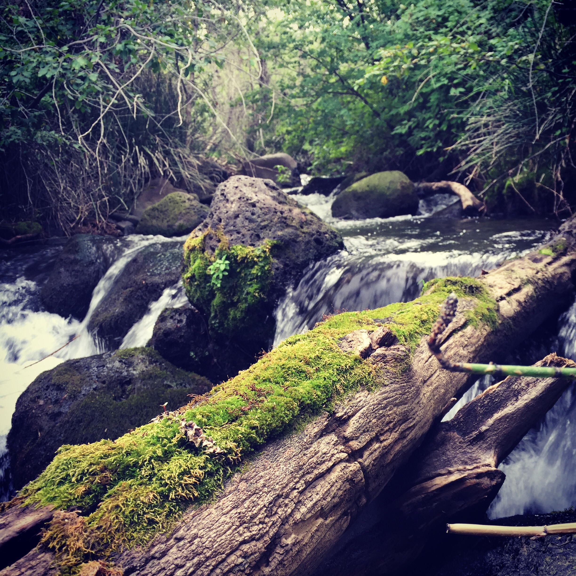 My shot of a creek near Battlement Mesa, Colorado. 1536x1024 OC r/EarthPorn