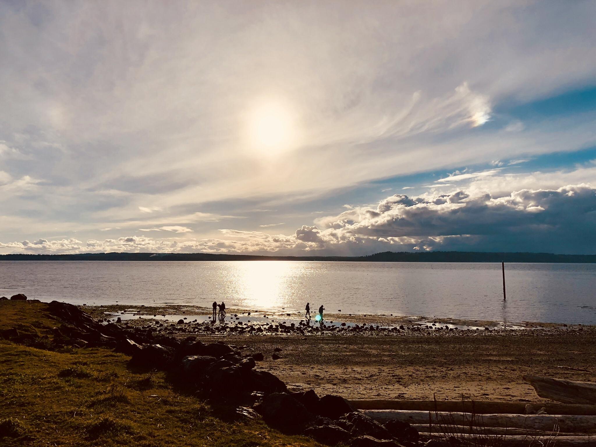 Point Edwards Park this afternoon r/SeattleWA