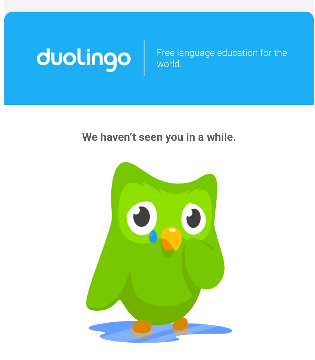 Duolingo after two days of not using it. r/assholedesign