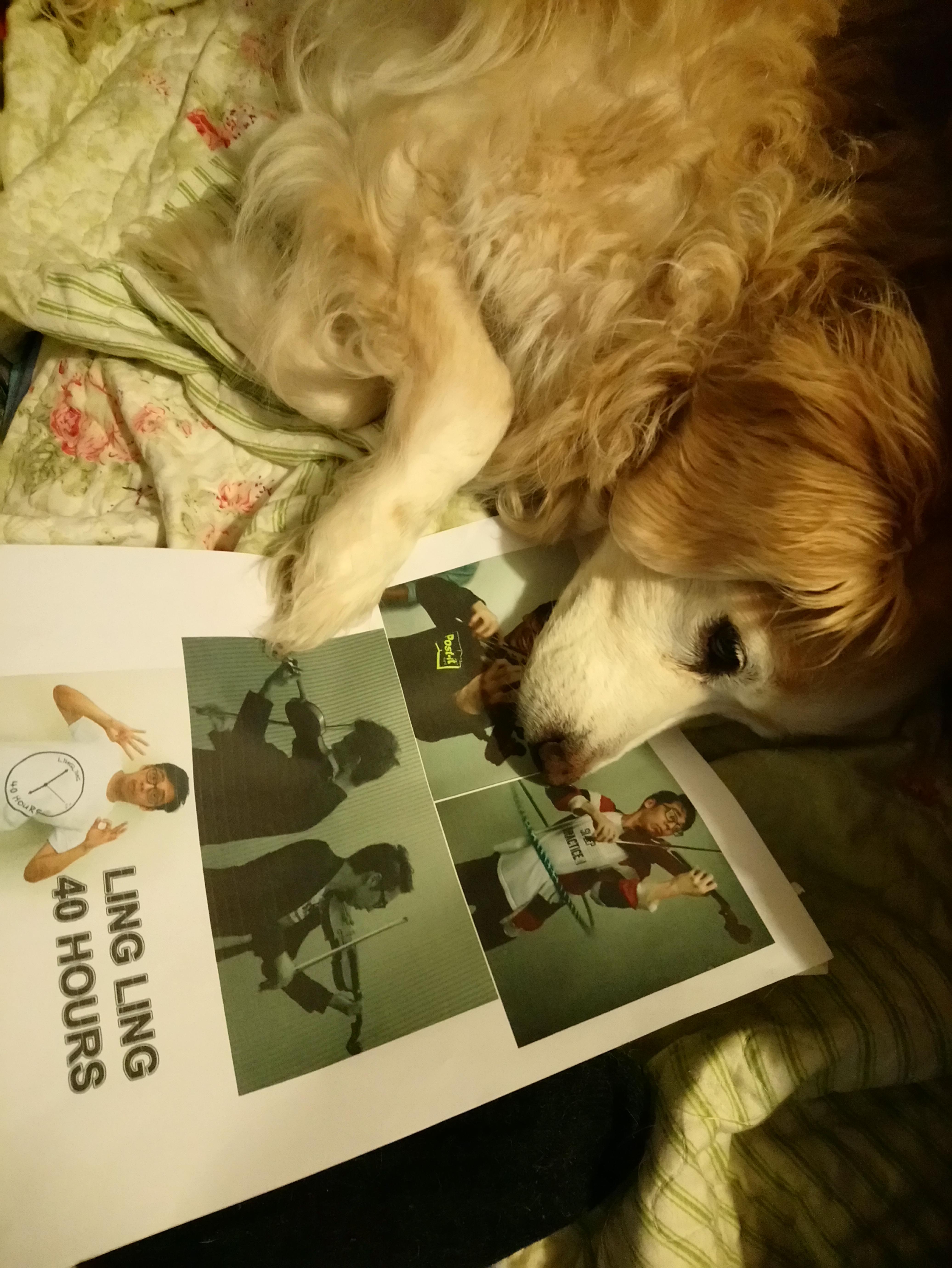 My cheap twoset poster fell off and I found my dog like that ajajaj r