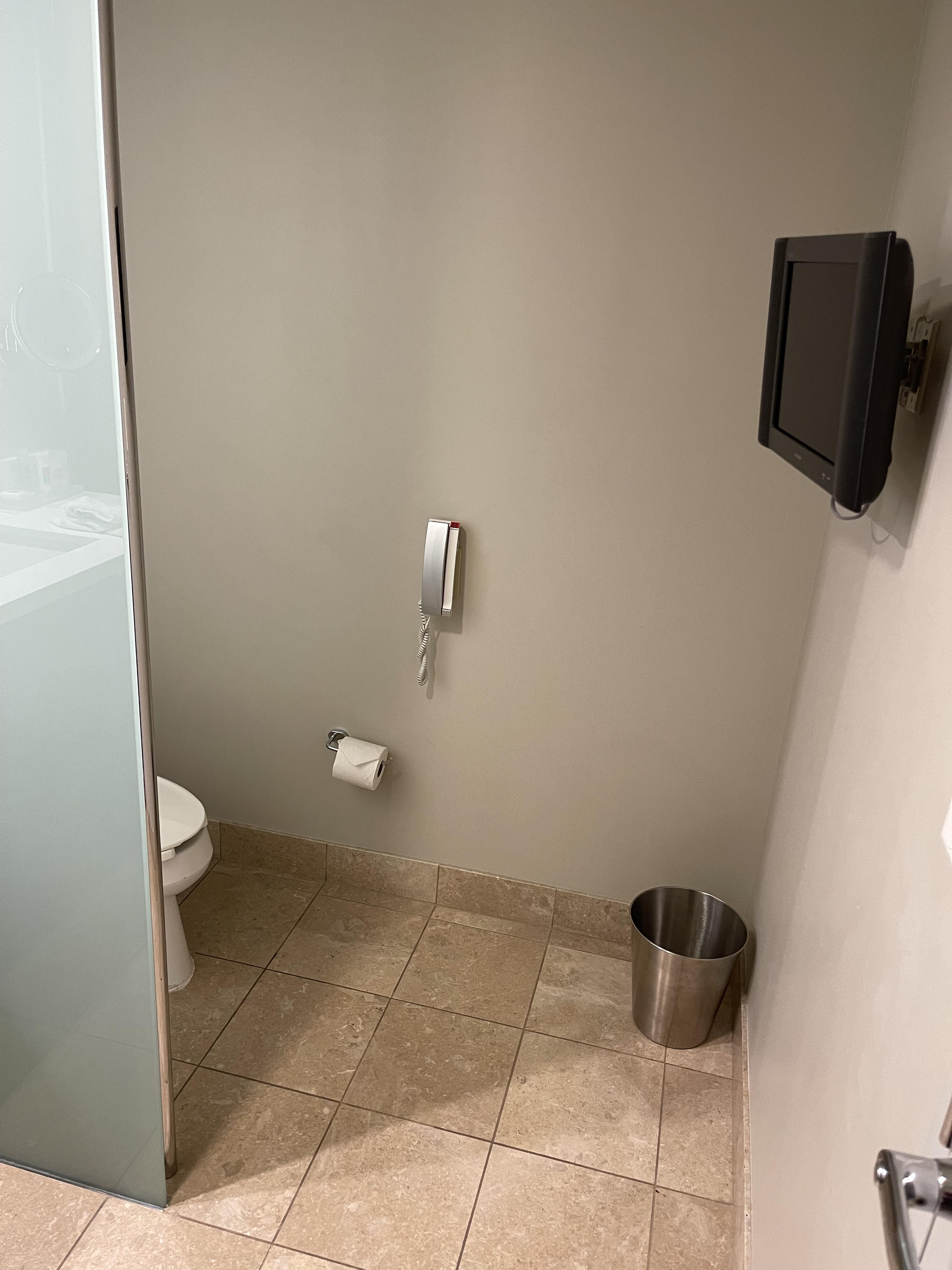 The hotel I’m staying in has a television and a phone for the toilet