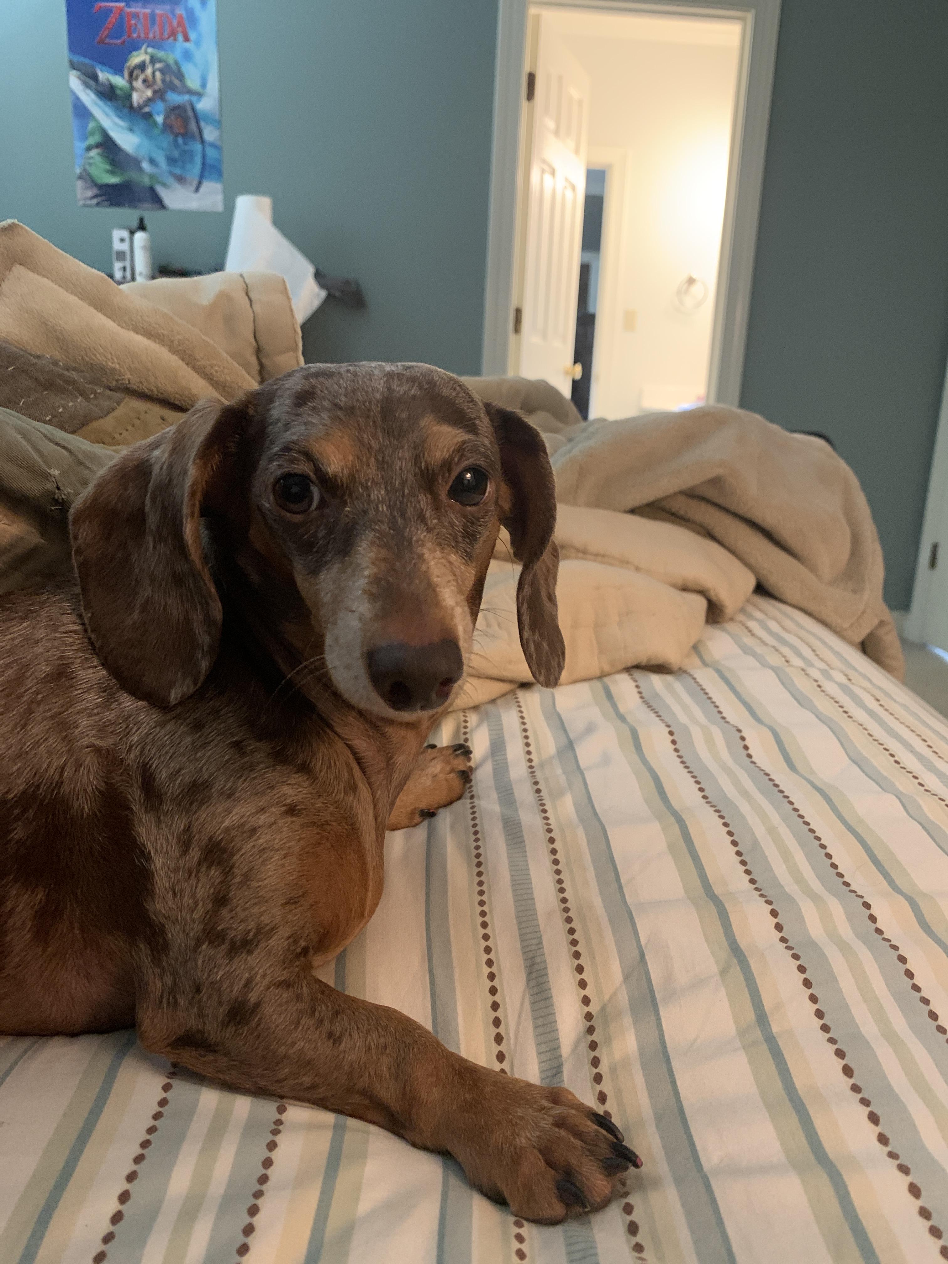 I found a kitten in a parking lot at Kroger the other day and took care