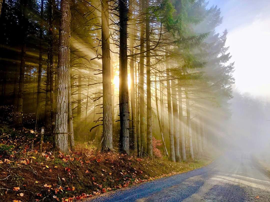 Manning, Oregon, U.S. this morning. Photo credit Jeremy Nicholes r/pics