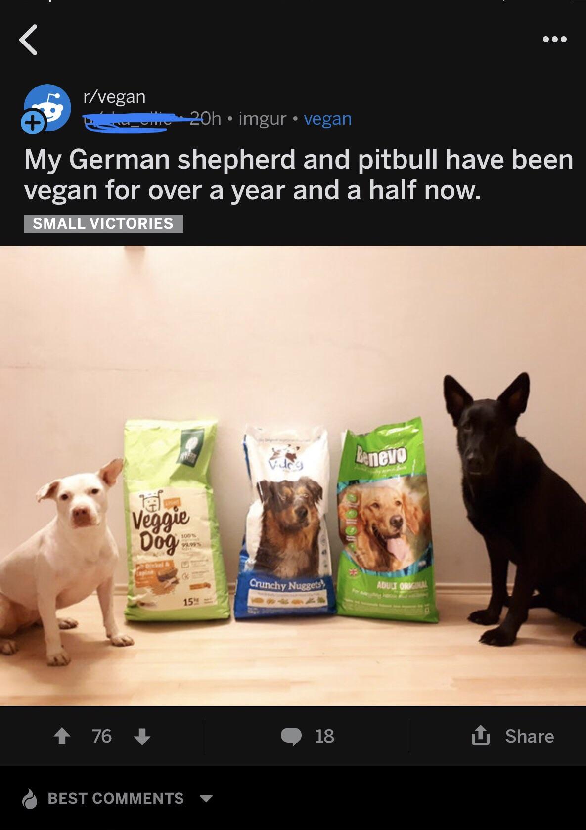 Anyone Notice How Both Dogs Look Too Small For Their Size/Breed