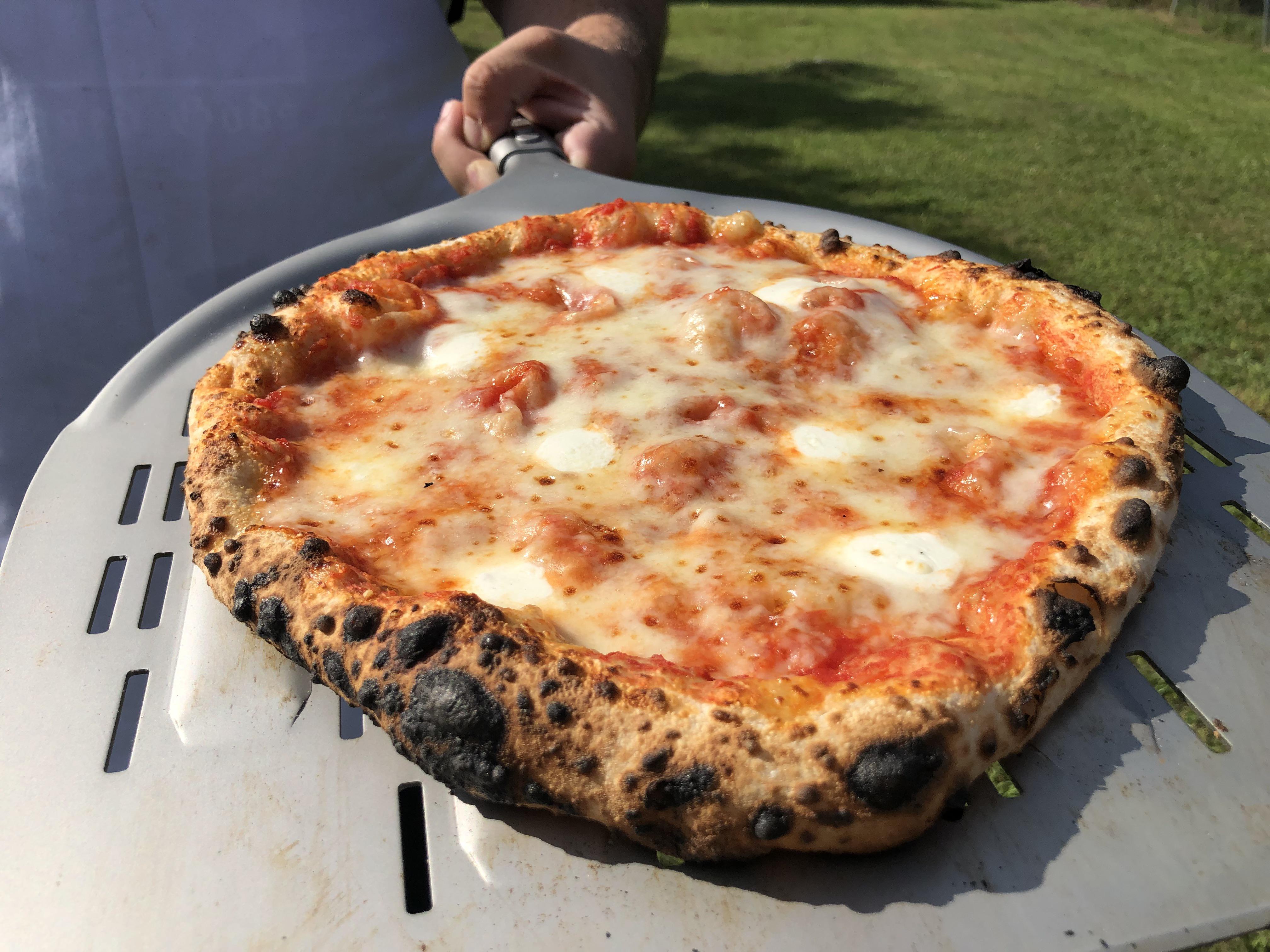 63 hydration 30 hour cold bulk ball fermentation. Finally getting the