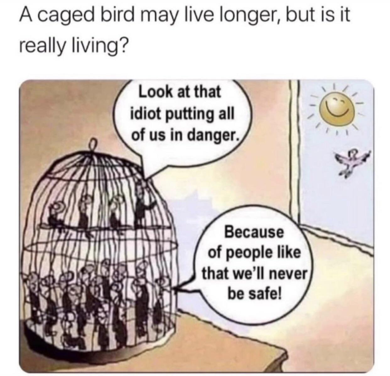 Grandmas echo chamber is more of a cage. forwardsfromgrandma