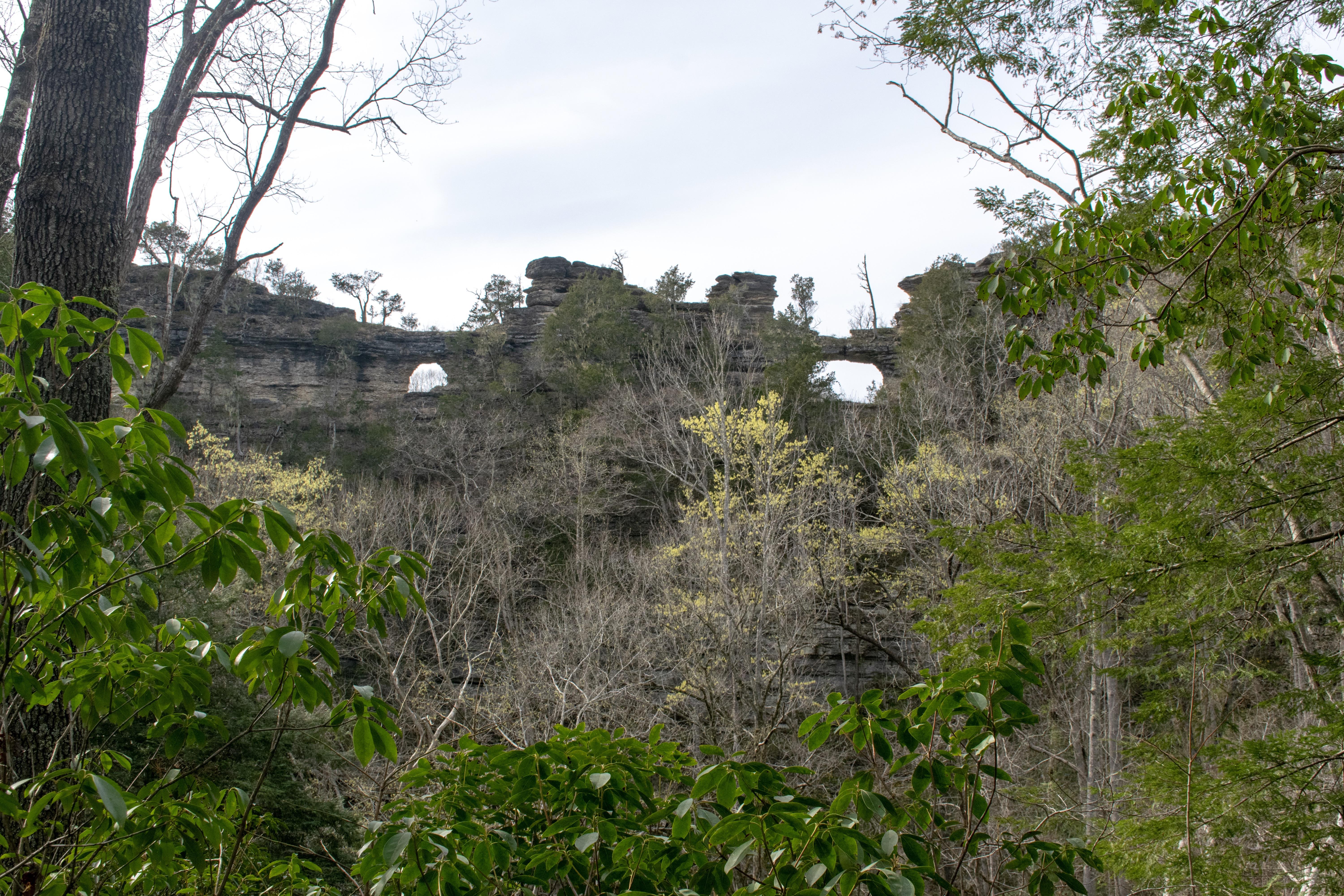 The Window Cliffs near Baxter r/Tennessee