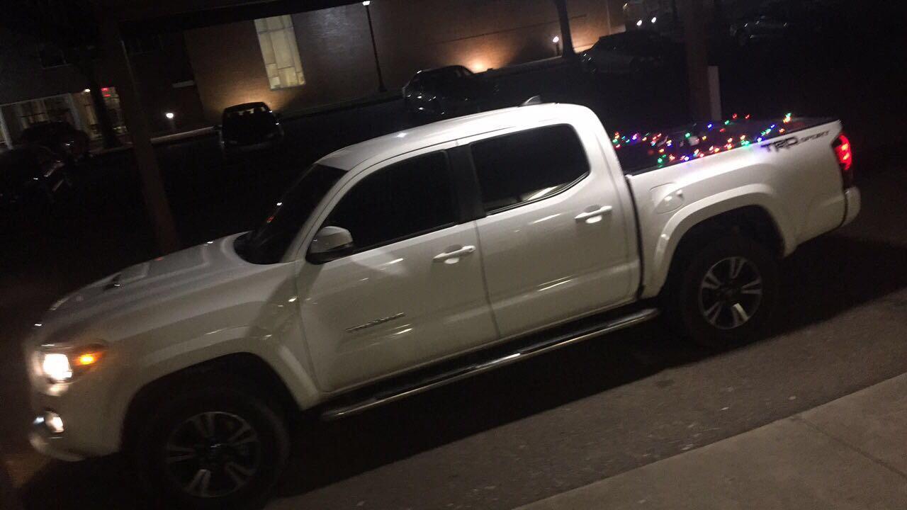 Christmas taco wouldn’t be complete without Christmas lights r