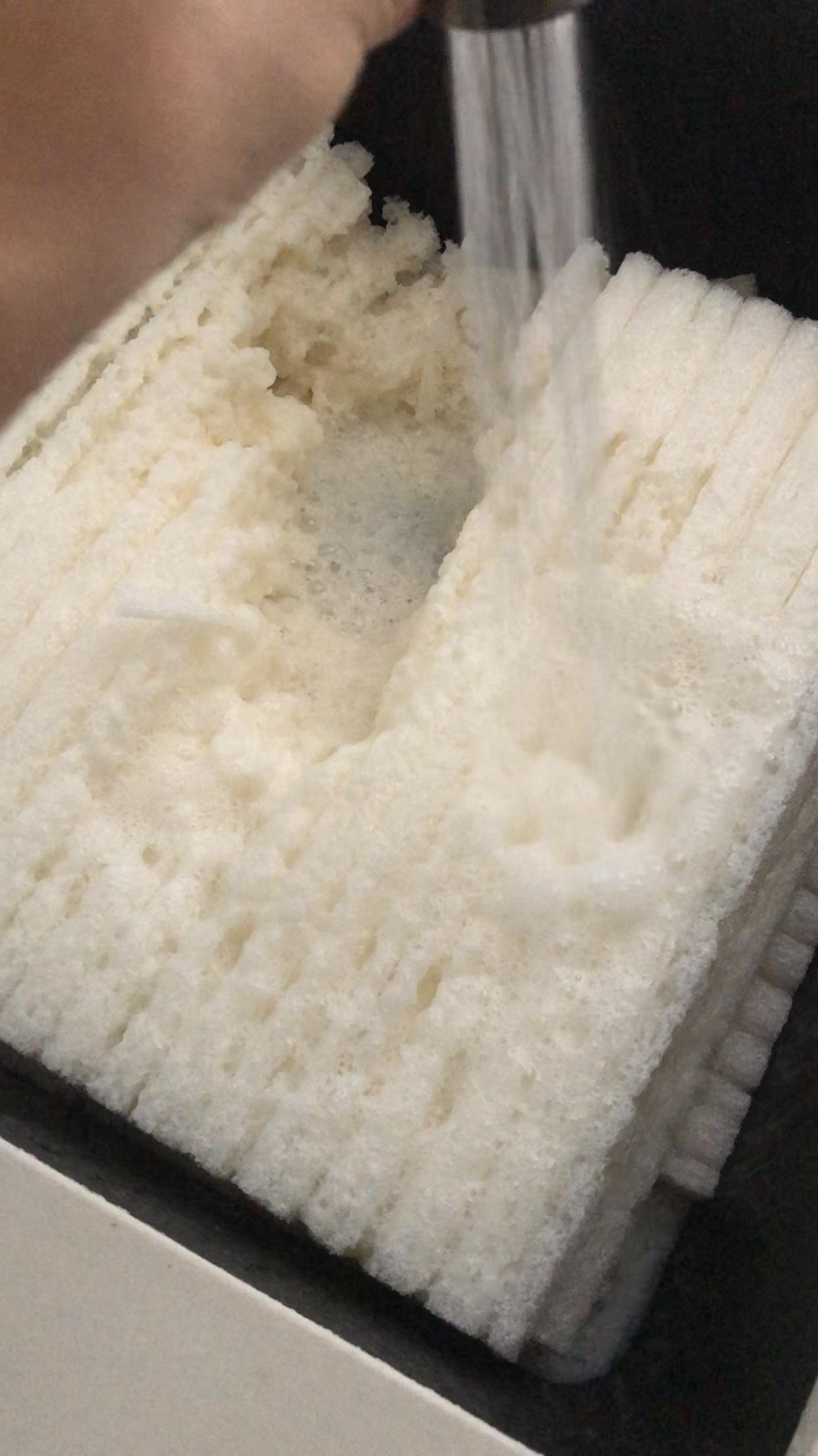 Biodegradable Packaging Liner made of cornstarch that completely