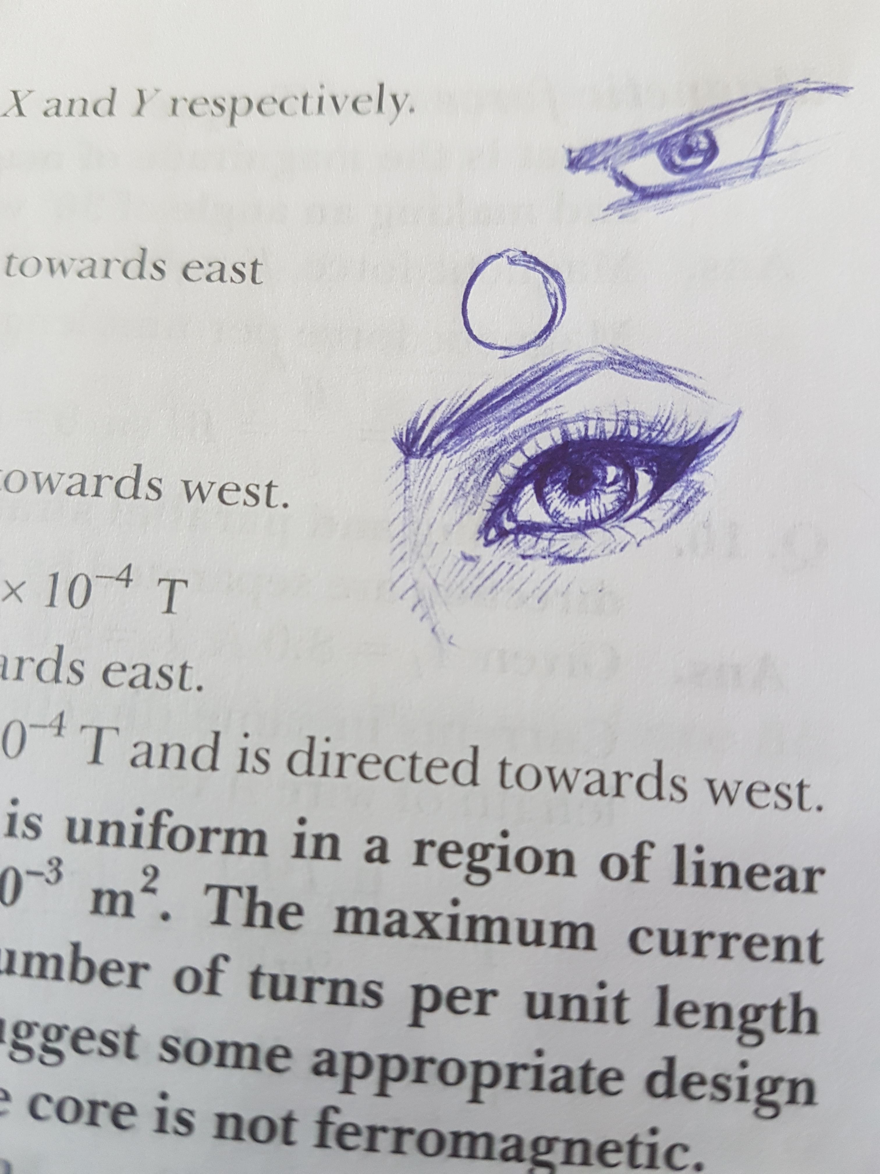 I keep doodling semi realistic eyes everywhere. Someone stop me pls r