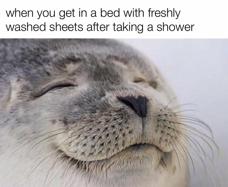 so soft, so fresh r/wholesomememes