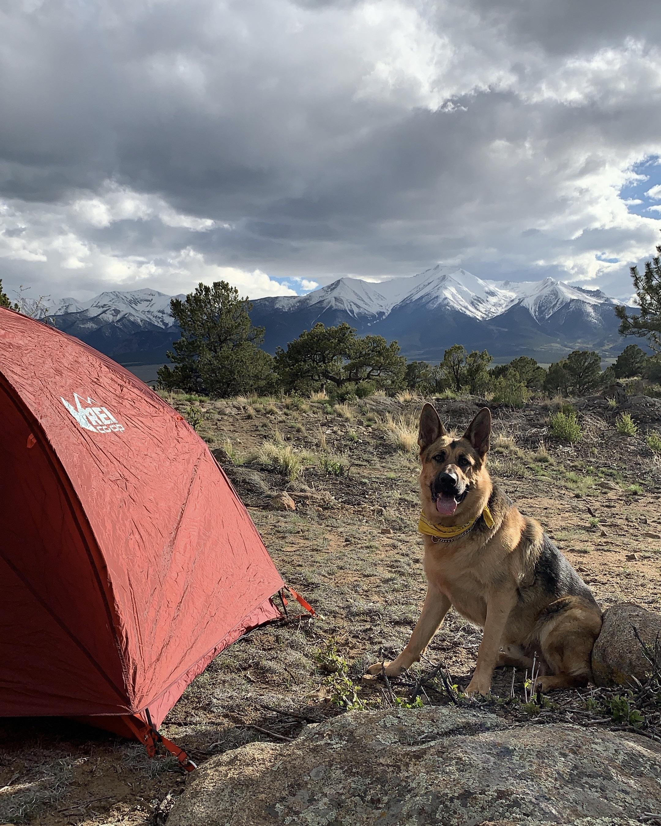 First camping trip of the season (Buena Vista, Colorado) r/camping