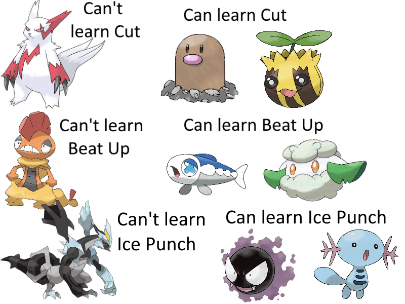 Dumb Pokemon Logic (SMH) r/MandJTV