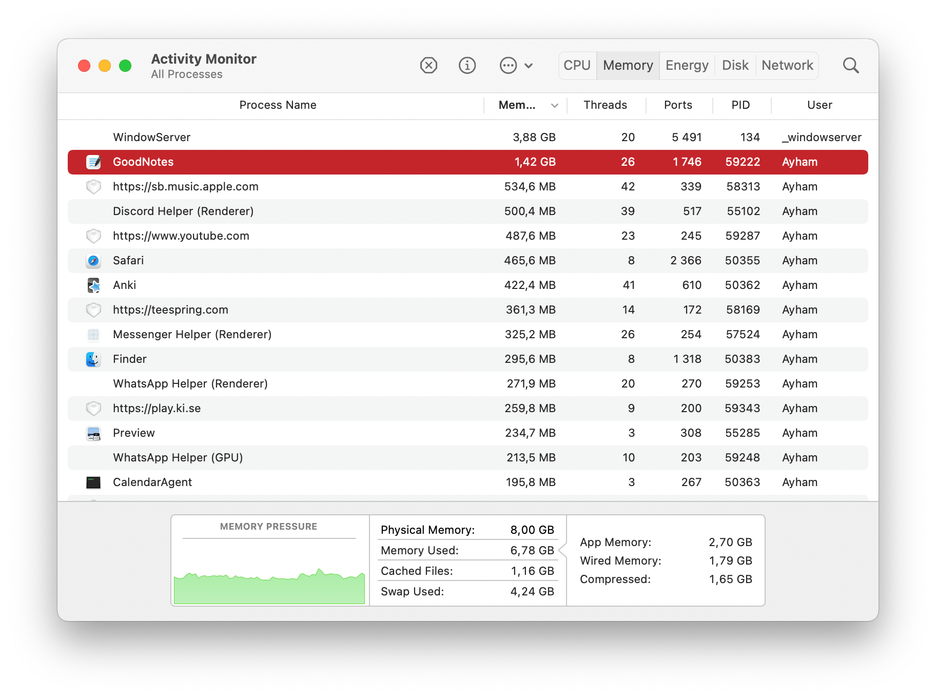 Is this normal? And if it is what the hell GoodNotes? I am on MacBook
