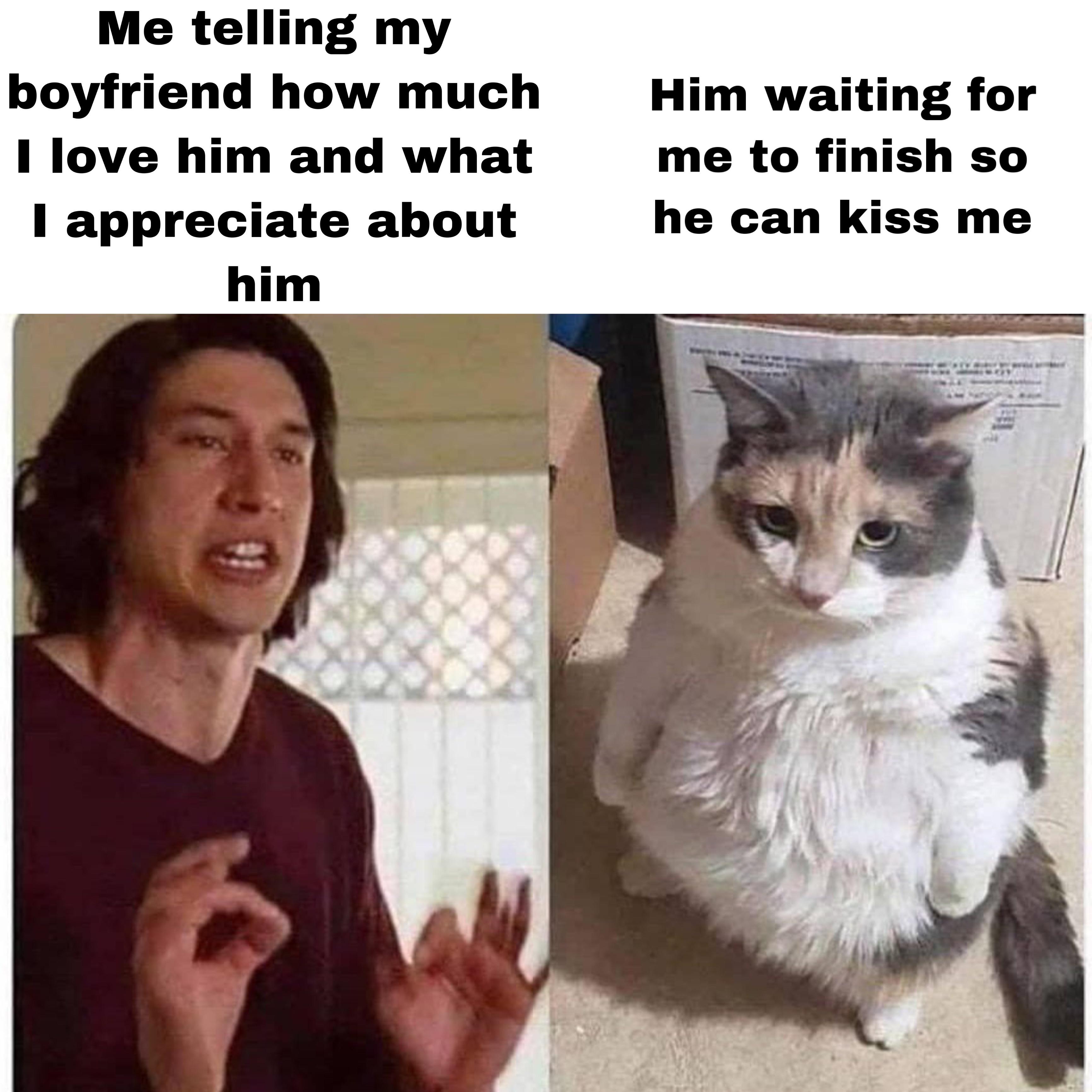 Sorry I sometimes talk too much.. r/wholesomememes