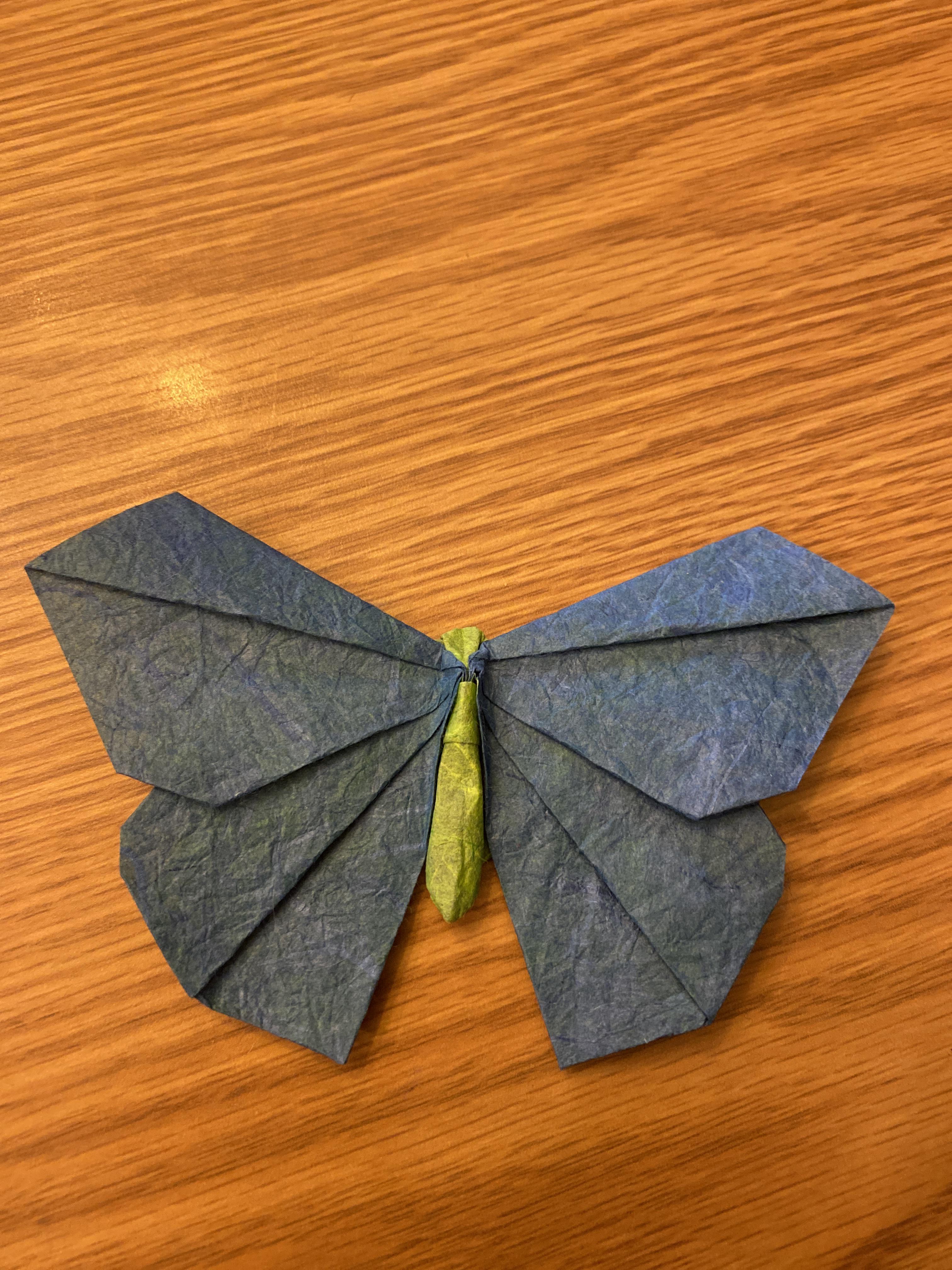 Origamido butterfly designed by Michael LaFosse folded from a 20cm