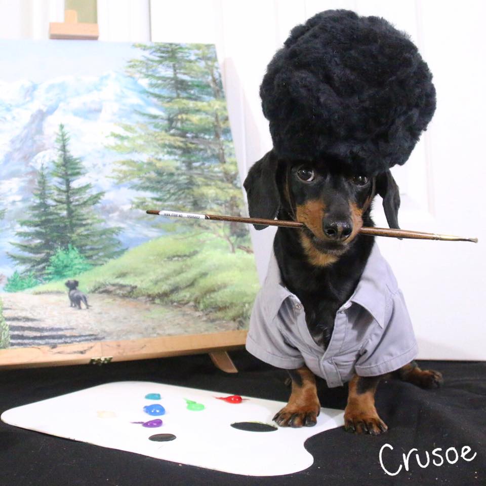 "Dog Ross" r/Dachshund