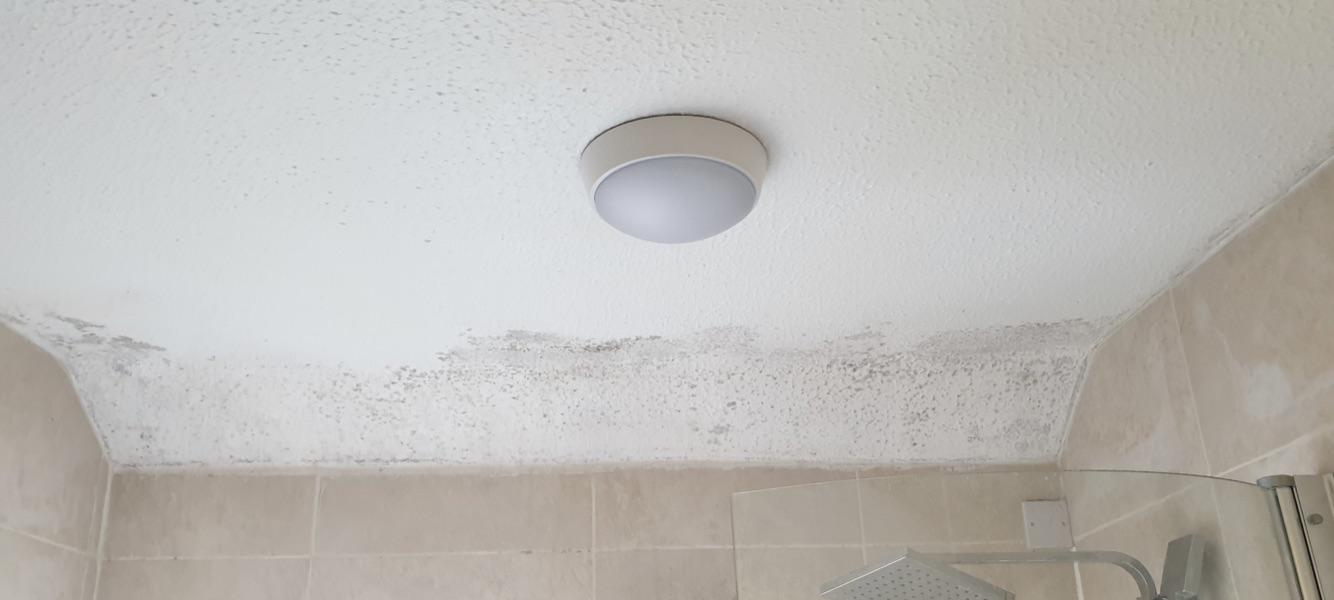 Mould on ceiling bathroom, note that the paint is flaking. How would