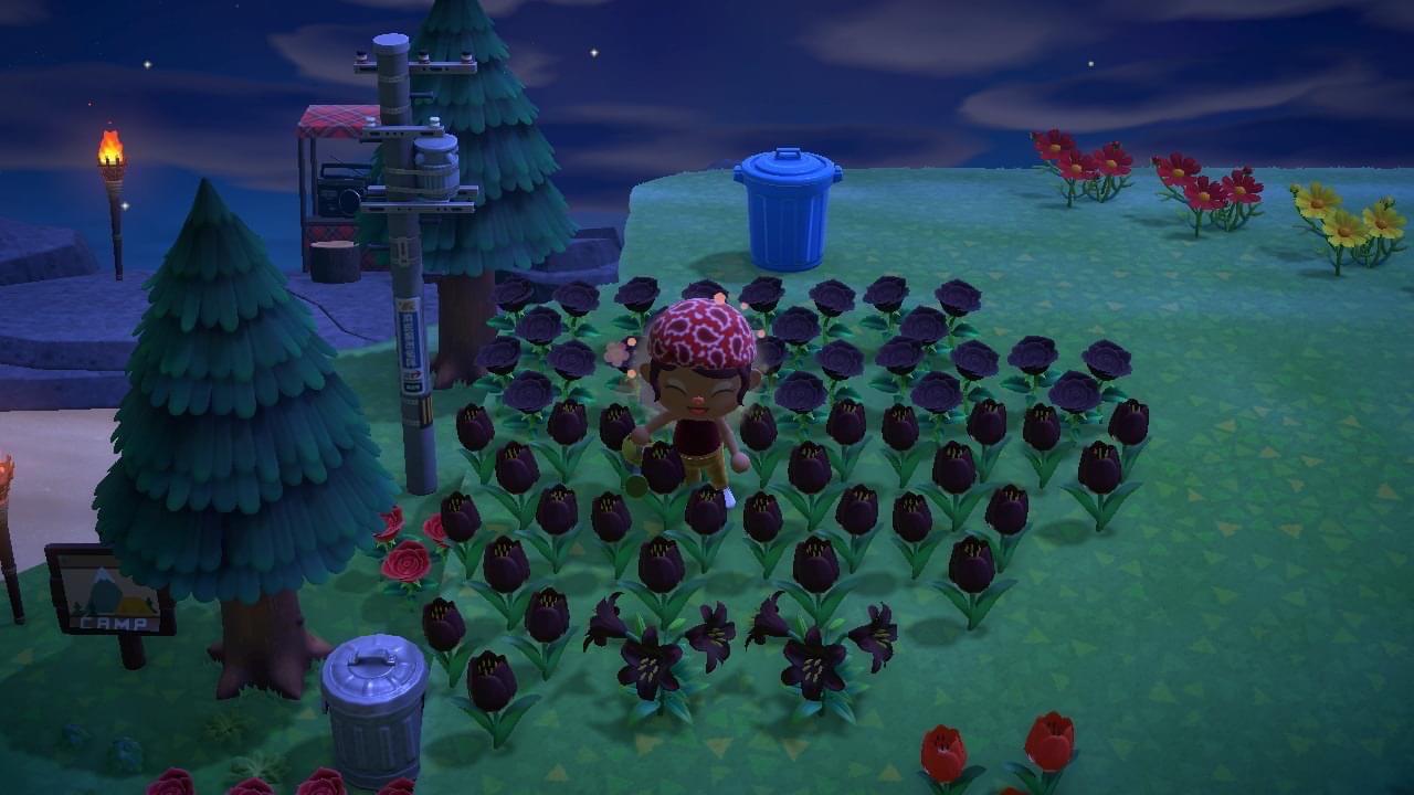 [FT] black flowers [LF] surfboards, flower cart diys, any flower diys ! r/ACNHTrade