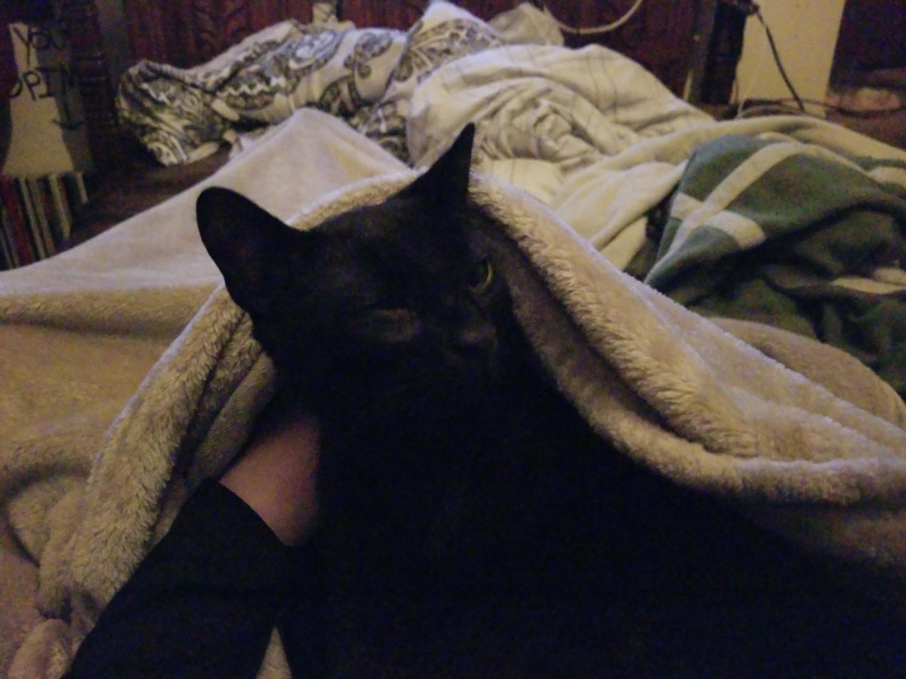 He loves sleeping under the covers r/tuckedinkitties