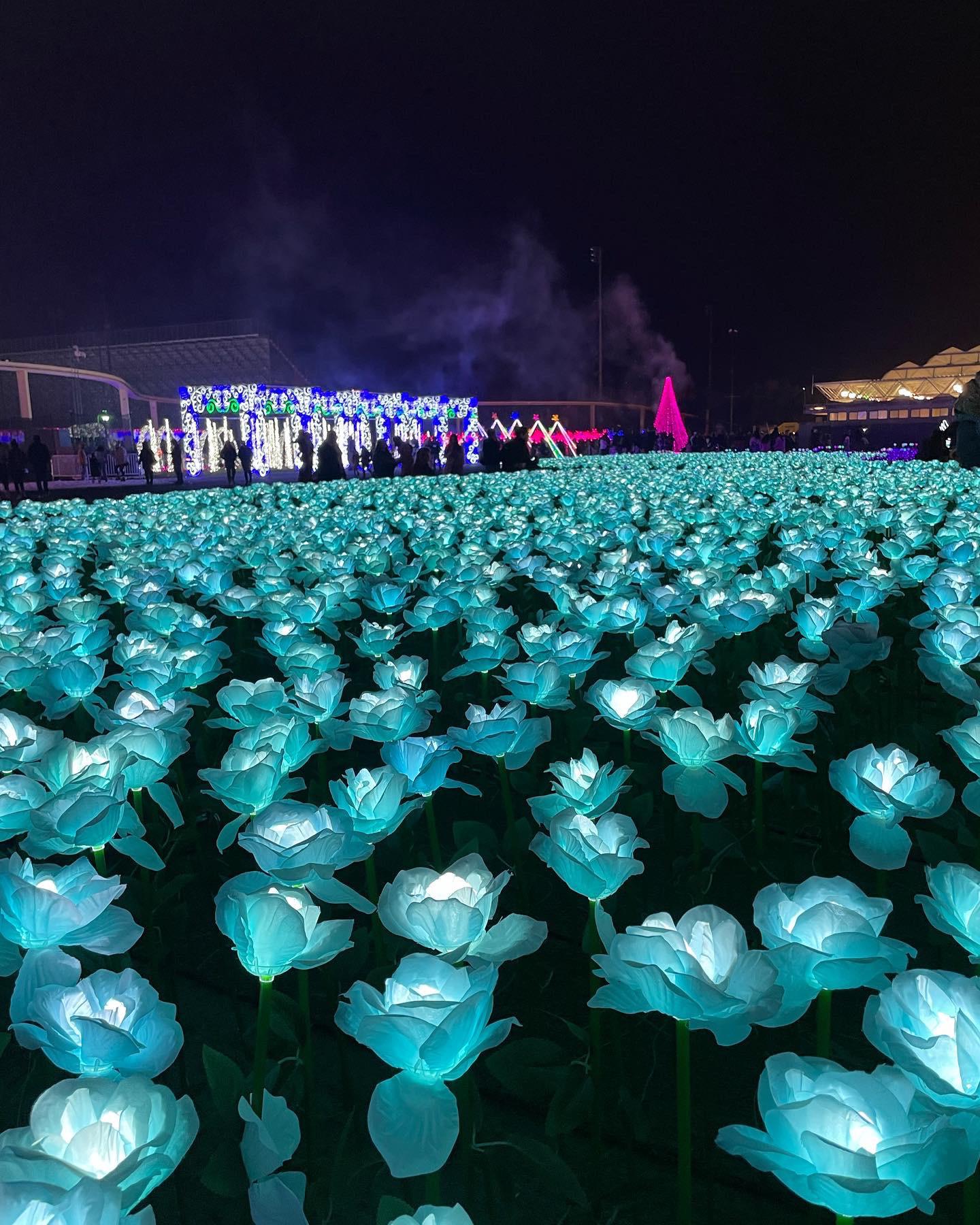 Global winter wonderland at cal expo r/Sacramento