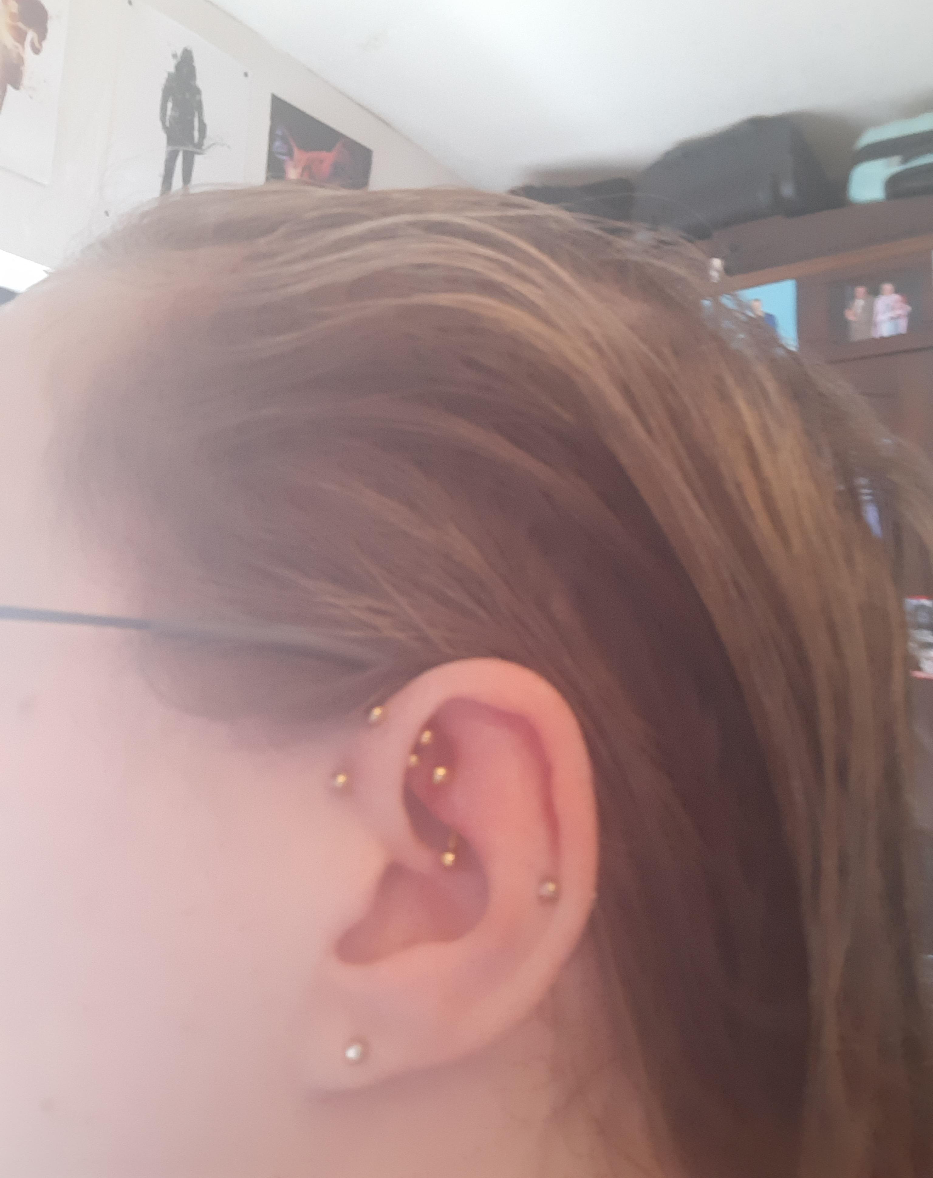Jewellery options (only titanium/surgical steel)? r/piercing