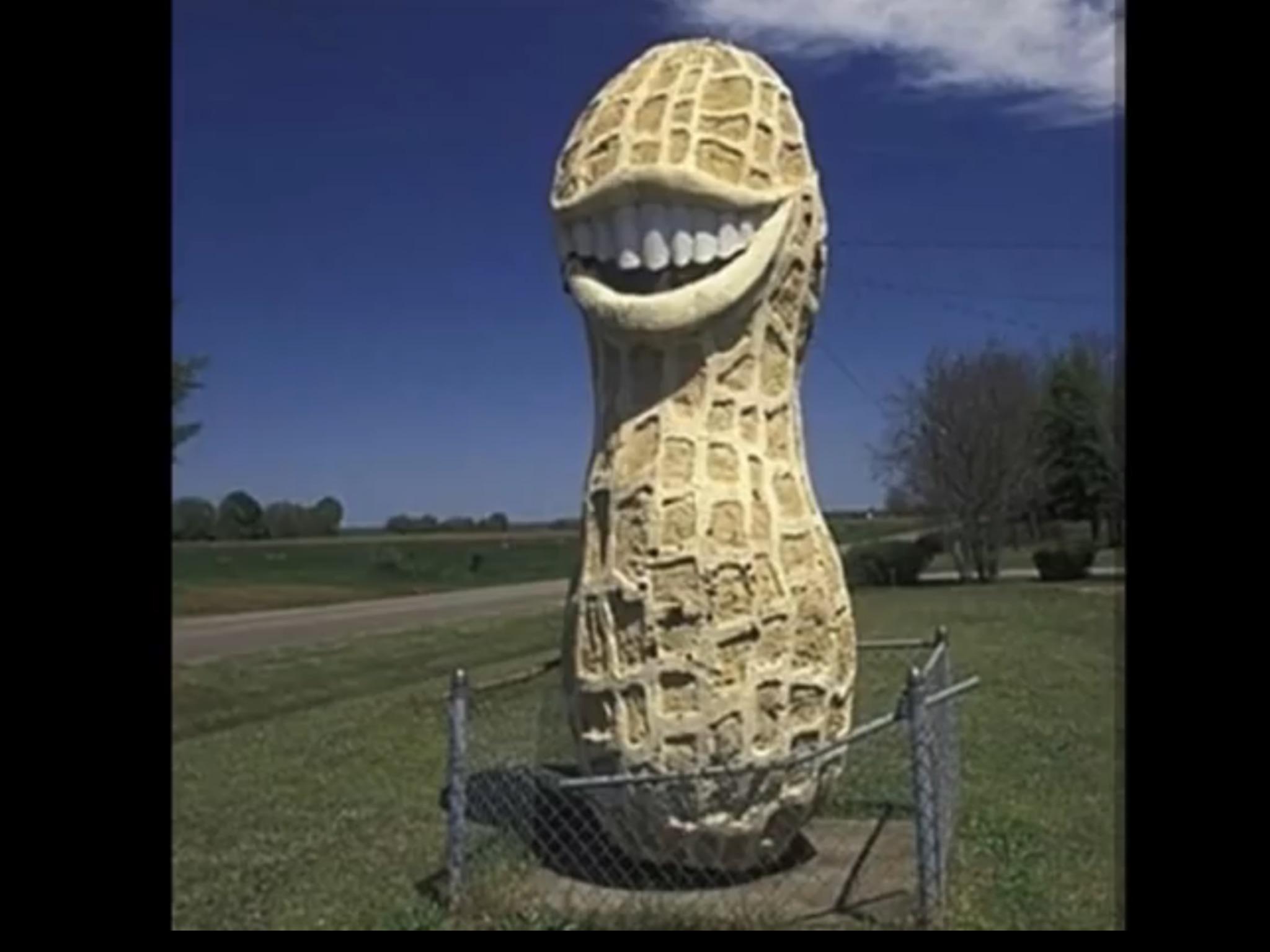 Peanut with teeth is scary r/oddlyterrifying