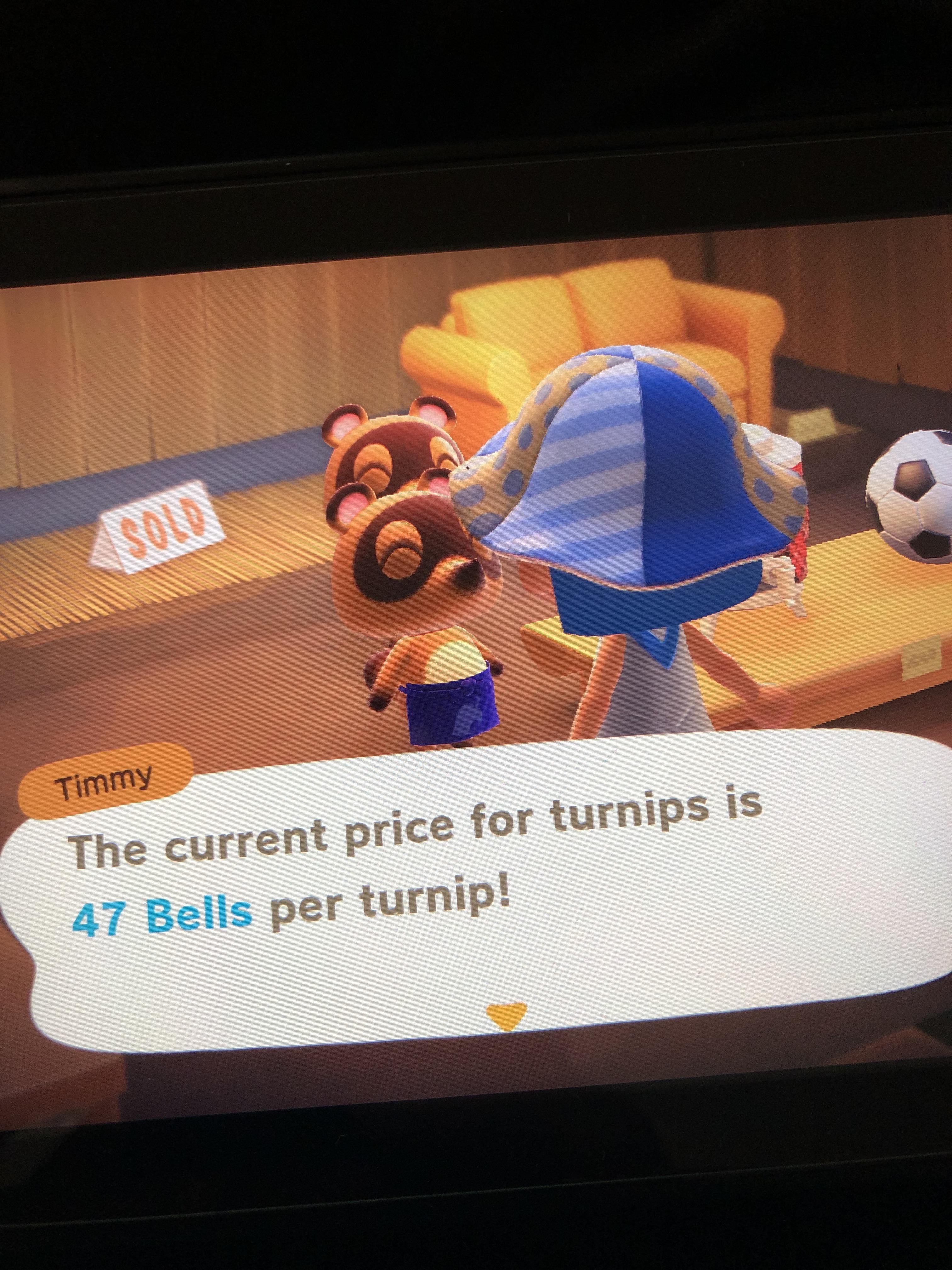 So is today the last day to sell my turnips? ( I didn’t catch it at