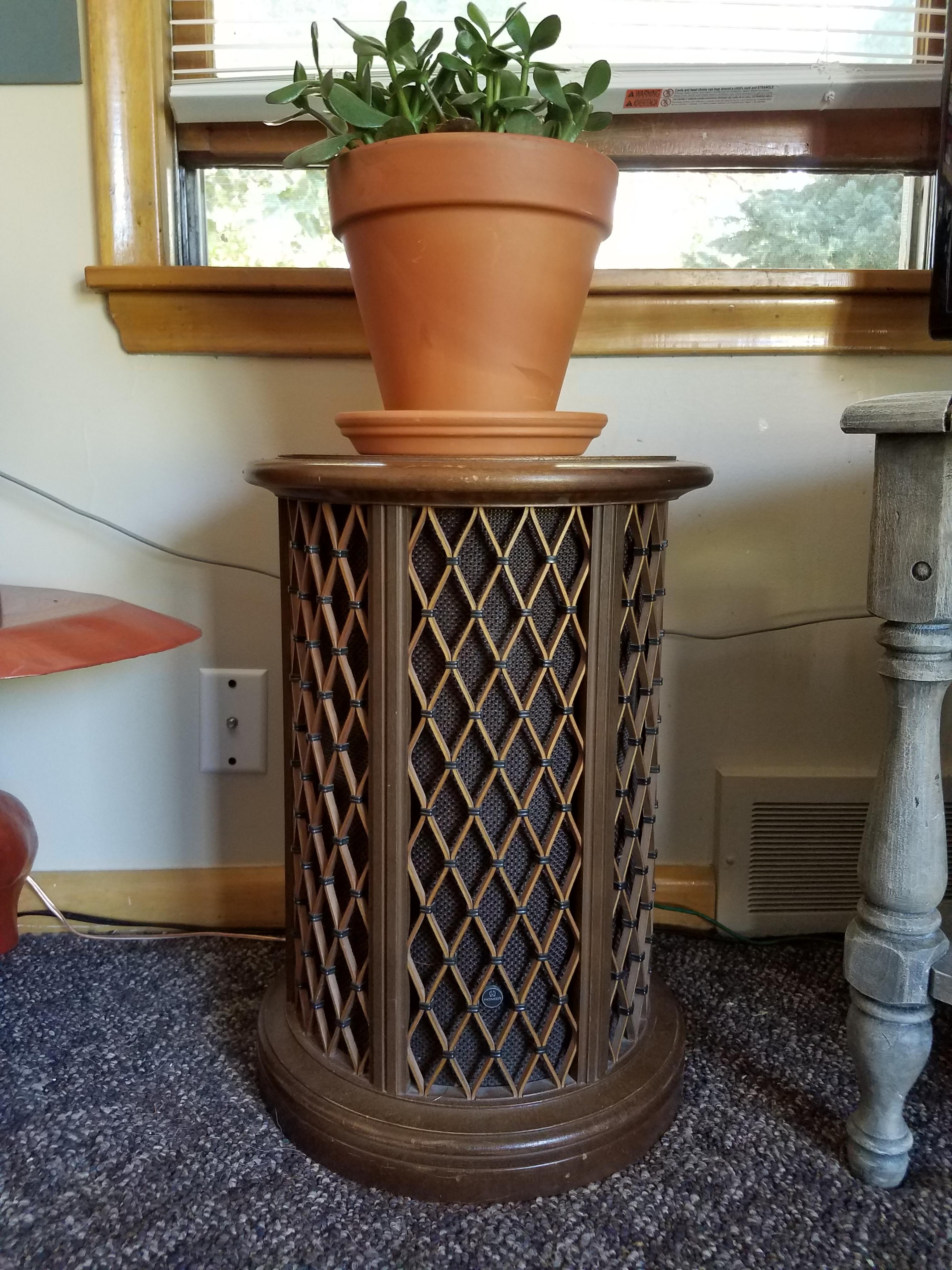 Vintage Pioneer CS05 end table speakers, (practically mint) for 8 bucks at Deseret. r