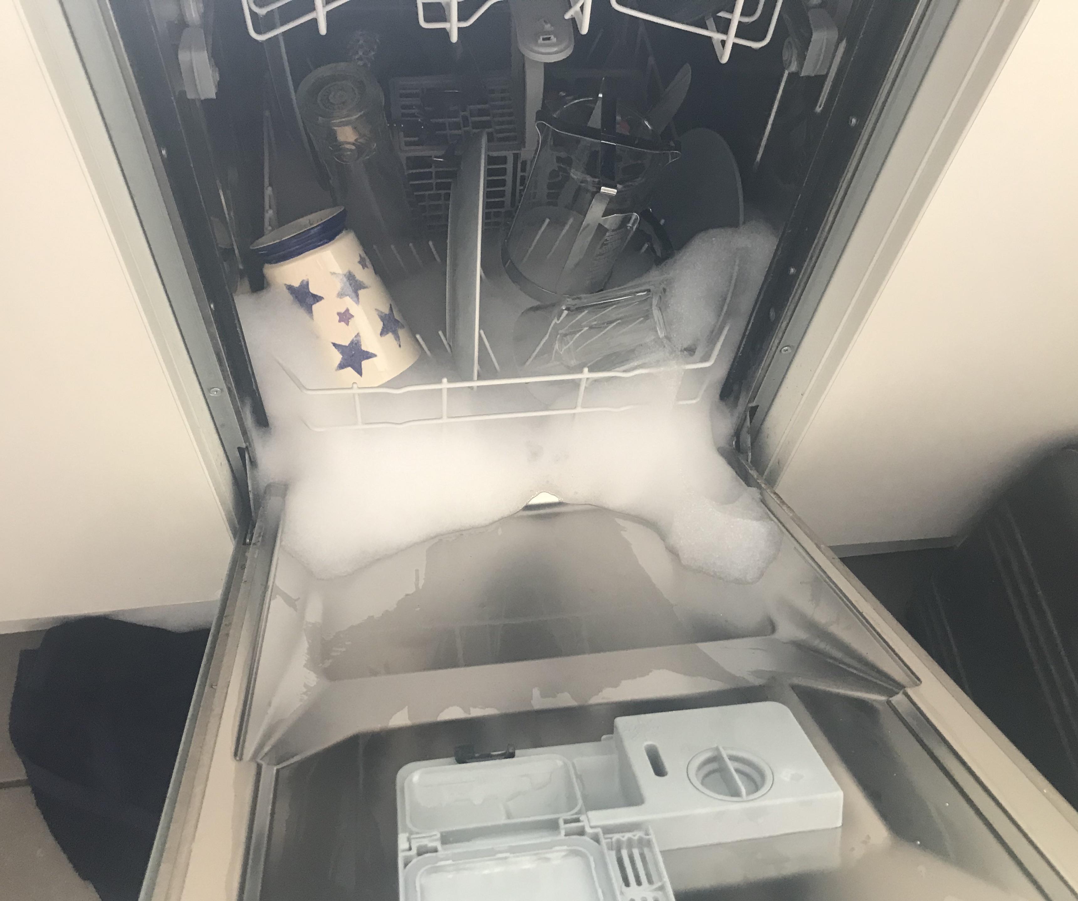 Any idea what could be wrong with my dishwasher? I didn't accidentally