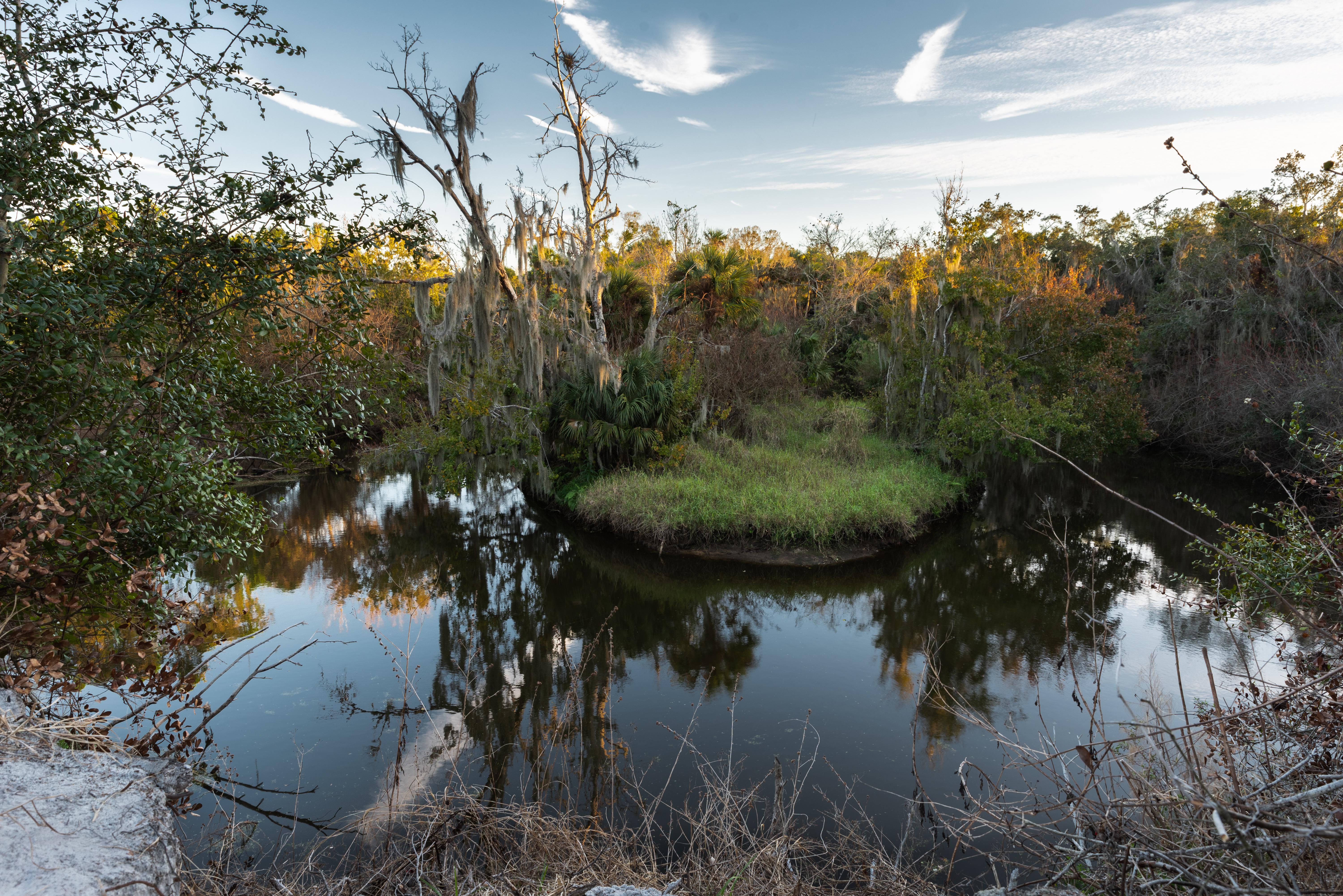 There's not enough love for swamps in here. West Melbourne, Florida