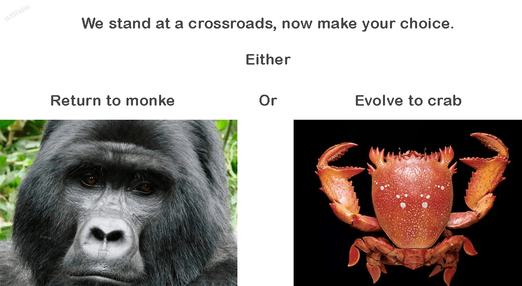 Why does everything evolve into crabs? r/memes