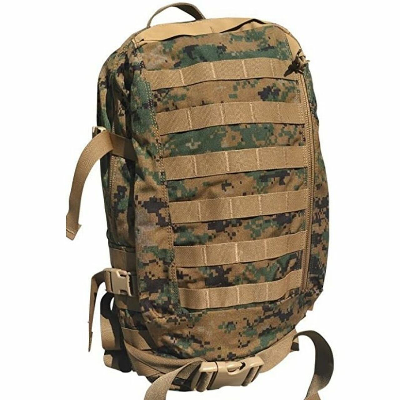 I have a cool USMC assault pack I think will ruck well. Has anyone