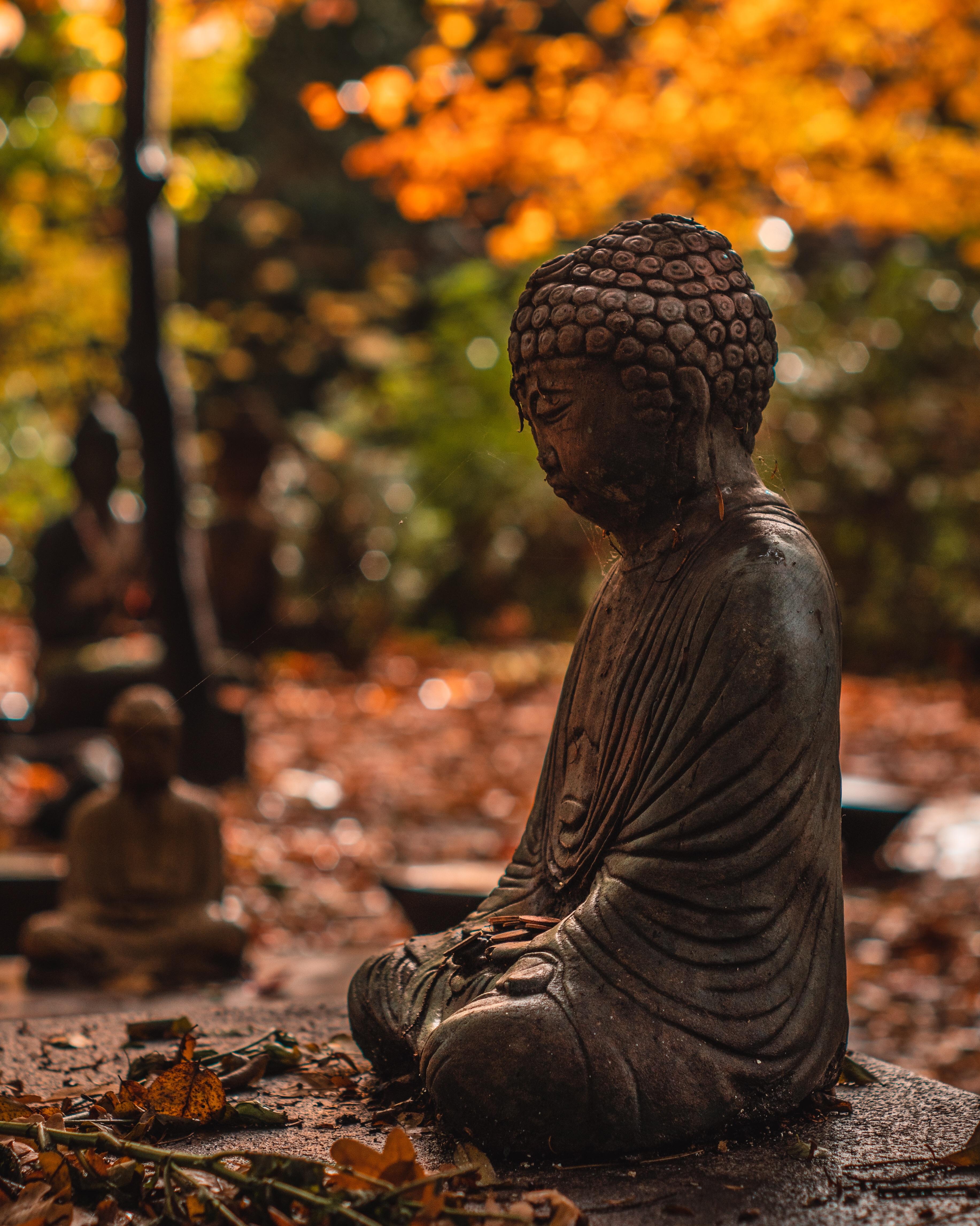 ITAP of Buddhist statues in the woods r/itookapicture